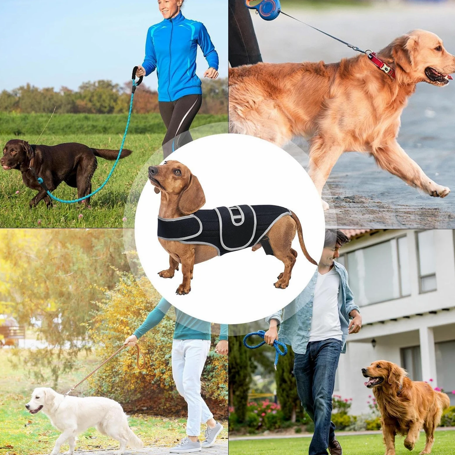 Supporto per la schiena per cani, regolabile, in neoprene, 450 g, imbracatura di supporto per la riabilitazione del cane, per le scale, camminare, jogging, casa, all'aperto, viaggi
