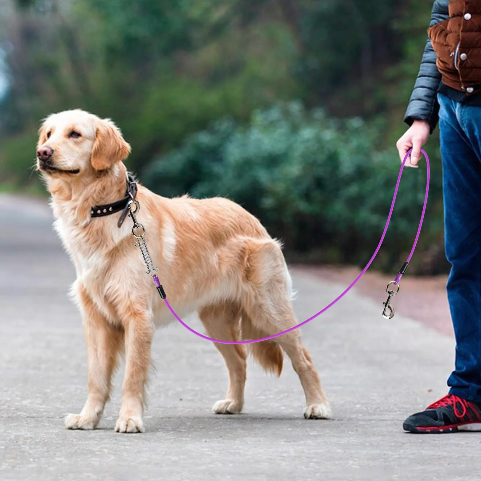 Cavo di Sicurezza per Cani, 3m Resistente Guinzaglio in Metallo per Animali Domestici, Lungo Cavo per Cani di Media e Grande, Guinzaglio per Cane per Cortile Campeggio