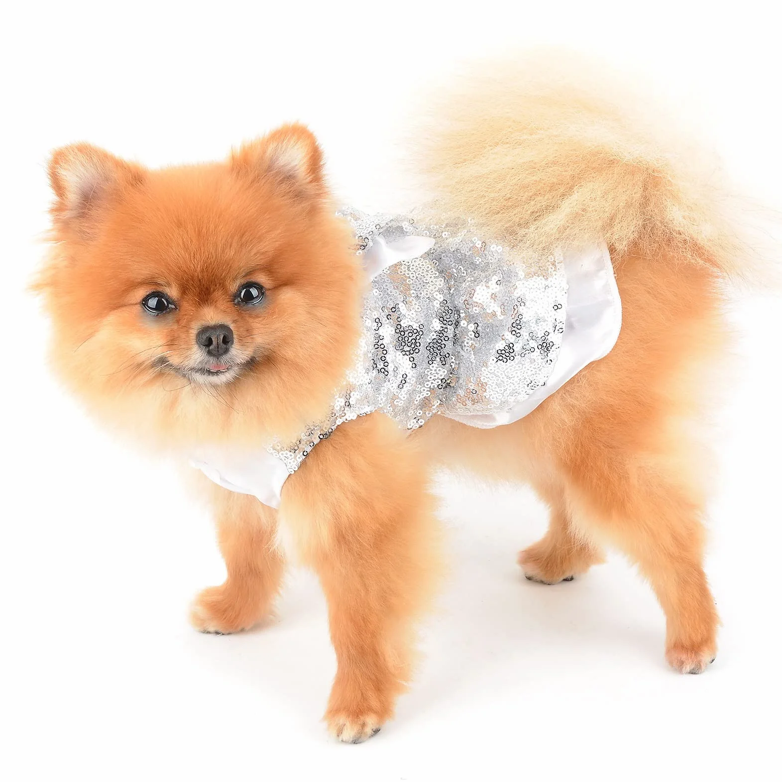 Abito con paillettes metallizzate per cani piccola taglia e gatti argento XS