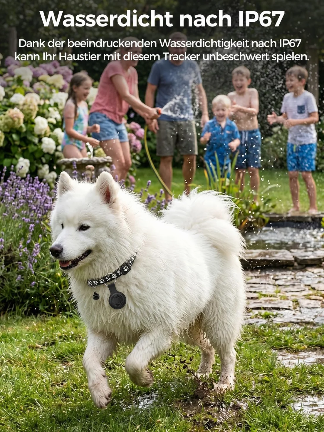 Collare GPS Gatto, GPS per Cani, Localizzatori GPS per Cani e Gatto Compatibile con iOS e Android, Tracciamento in Tempo Reale, Riproduzione Percorso 7 Giorni, Impermeabile IP67, Nessun Abbonamento