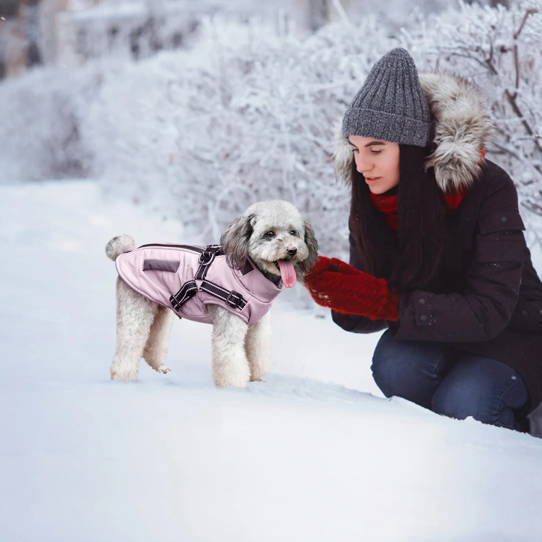 Cappotti invernali impermeabili per cani piccola e media taglia con pettorina
