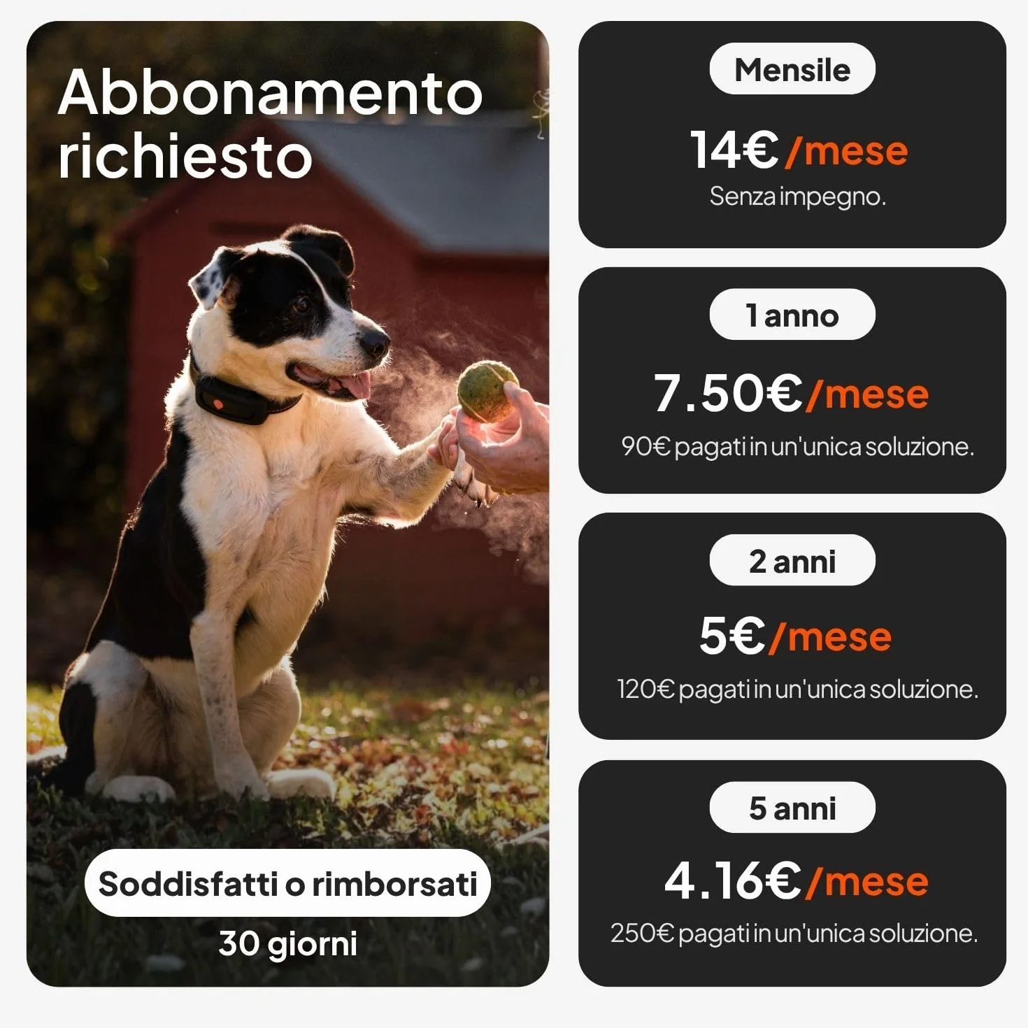 Weenect Cane XT - Localizzatore GPS per Cani Senza Collare | Impermeabile | Antenna XL | Portata Illimitata | Garanzia a Vita | Abbonamento Necessario