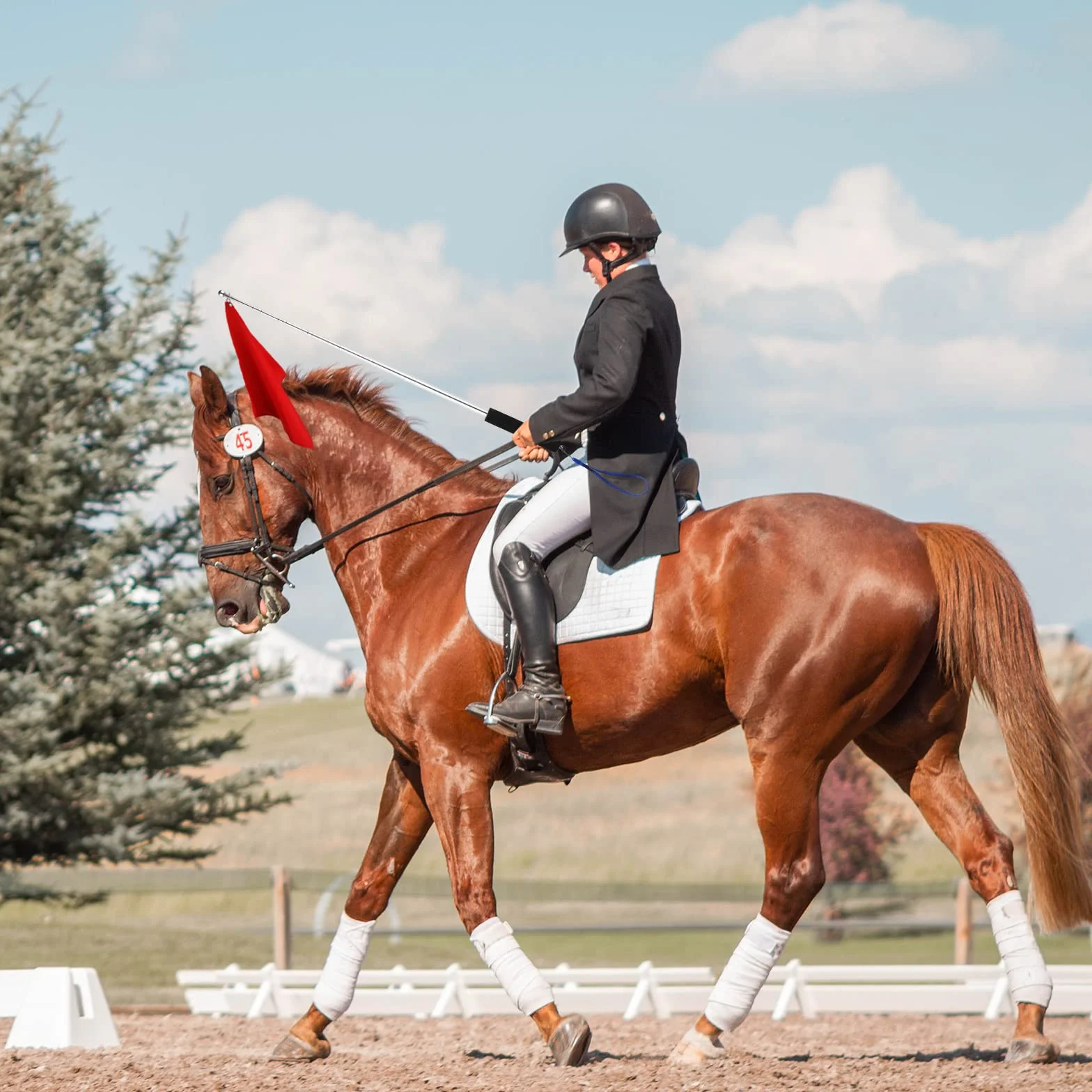 SAVITA 5pz Bandiera del Cavallo, Bandiere da Arbitro con Asta Telescopica pera da 1,6 m Attrezzatura per l'Addestramento del Cavallo Aste Telescopiche Bandiera del Cavallo (Cinque Colori)