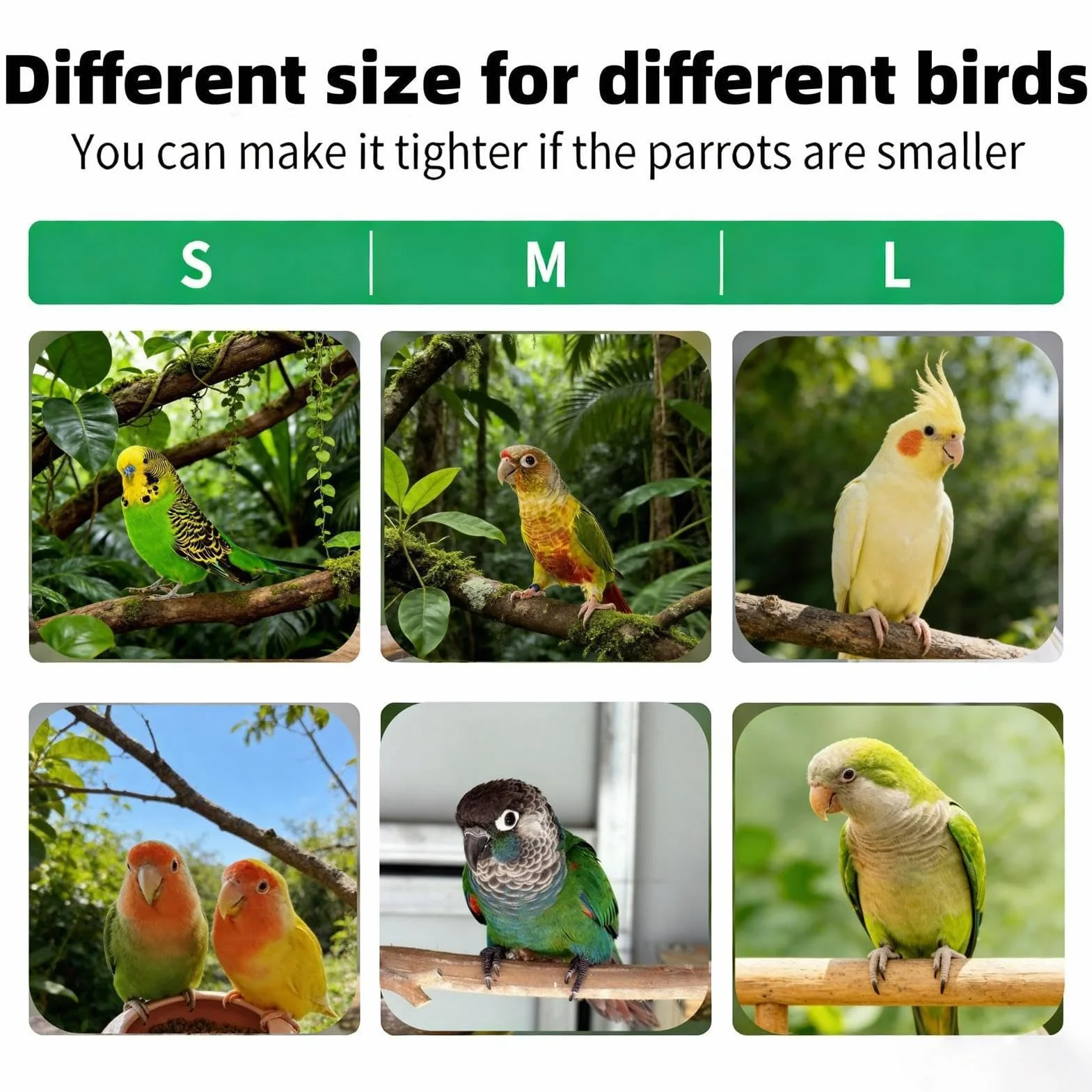 Borsa trasportino per – Tracolla a prova di fuga portatile da viaggio | Gabbia per il trasporto di piccoli | Trasportino da viaggio leggero per pappagalli Cockatiel Conure Lovebird Bud