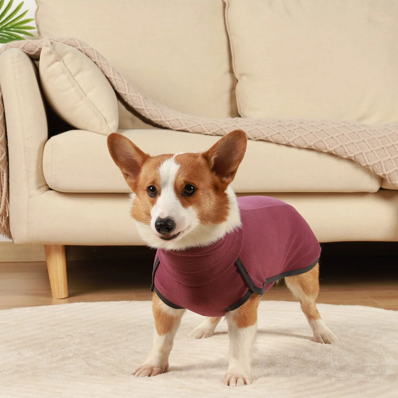 Cappotto Cane Rosso Scuro XL Felpa Morbido Caldo