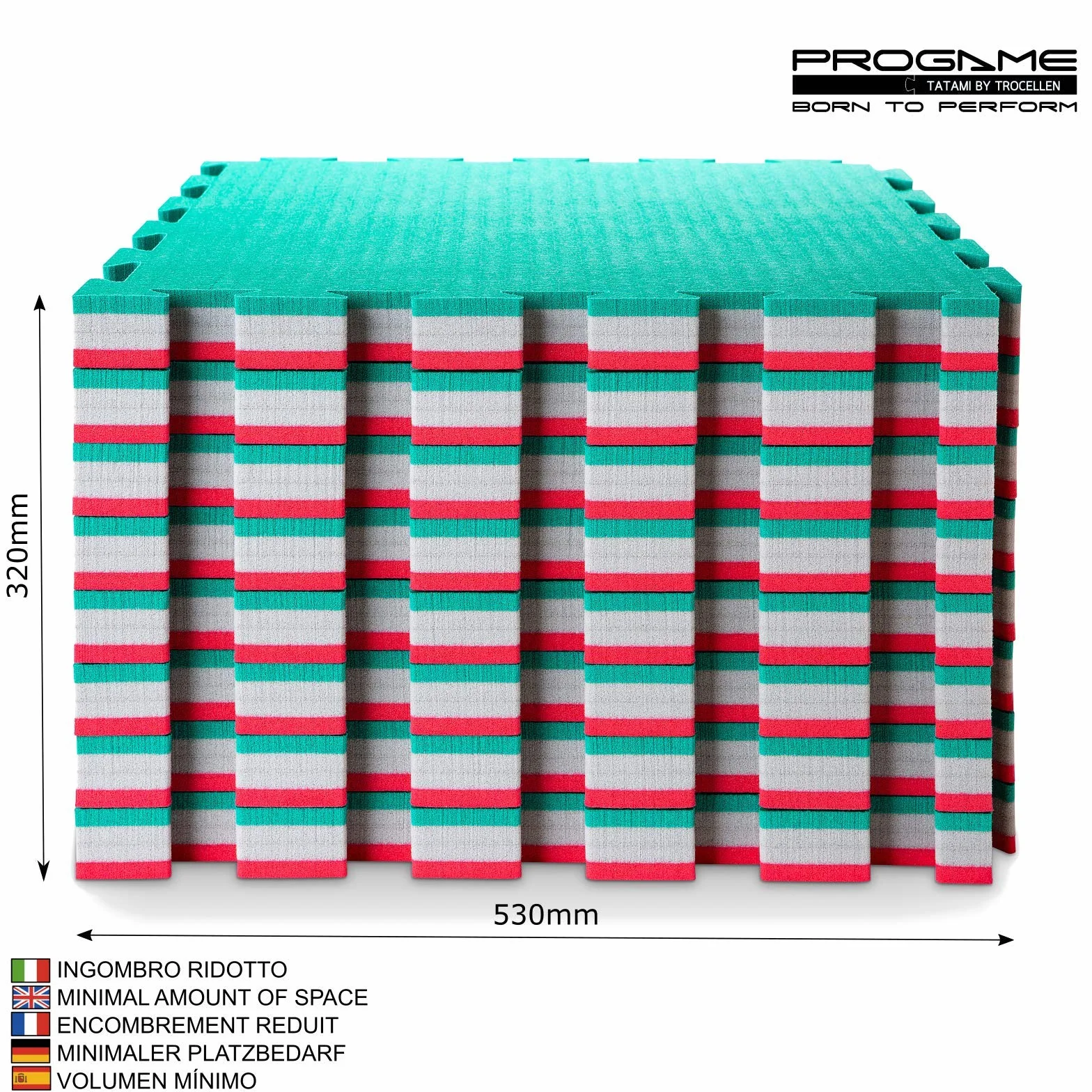 PROGAME Tatami Palestra Spessore 4 cm. 8 Pezzi 50x50 cm PERFORMANCE-HOME Tatami Judo Materassino - Made in Italy