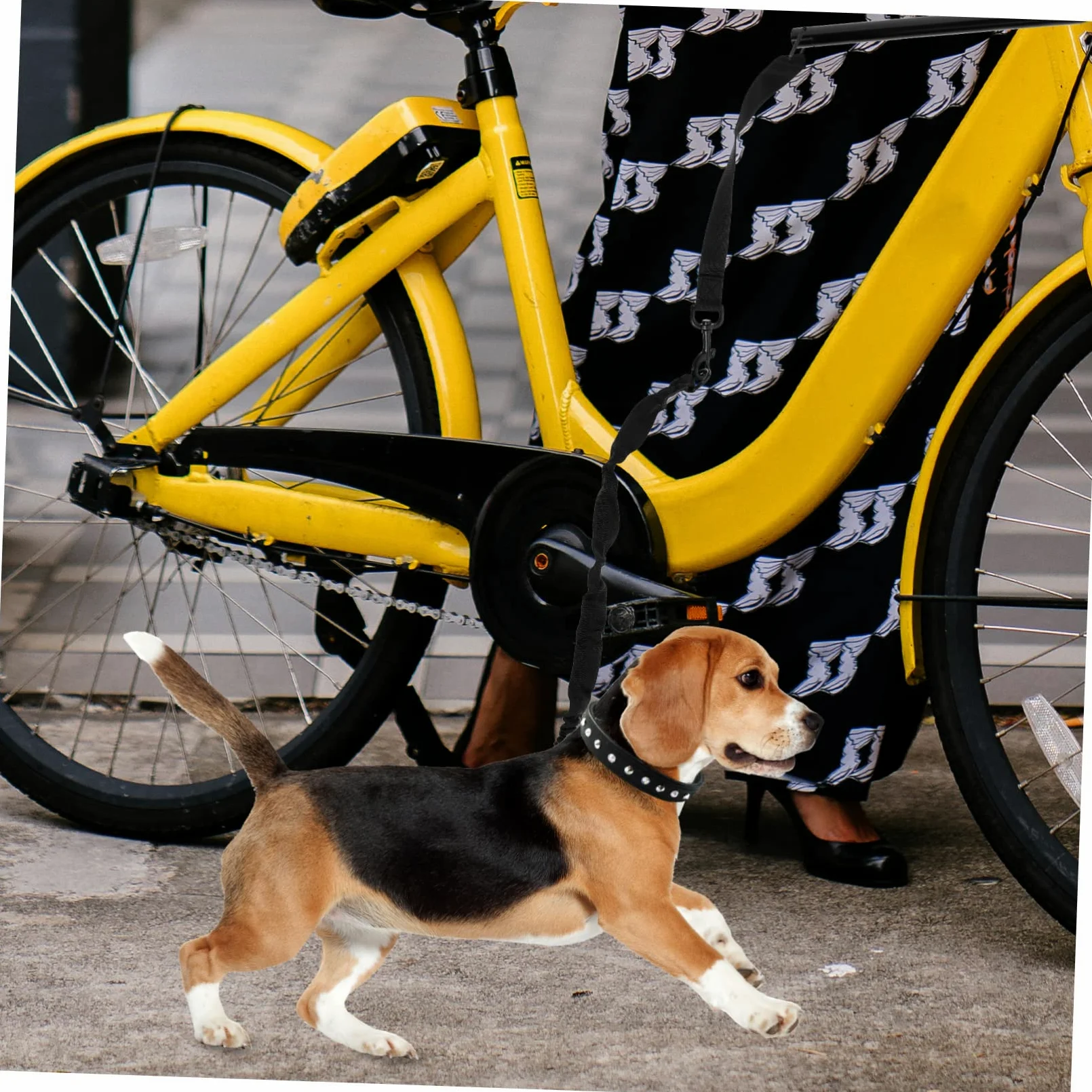 Garneck Guinzaglio Per Cani in Corda Guinzaglio Da Traino Per Animali Domestici Corda Da Trazione Portatile Per Cuccioli e Bici
