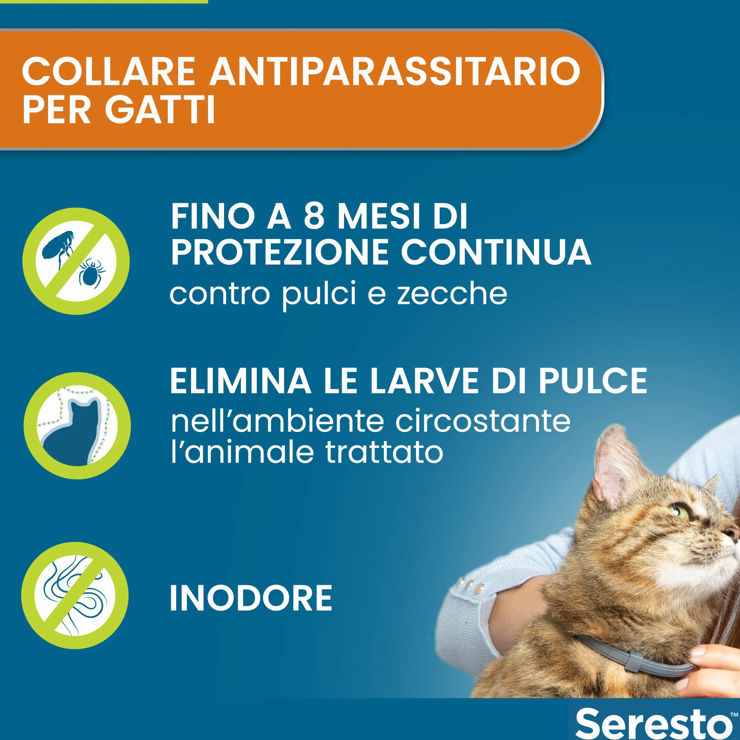 Seresto collare antiparassitario per gatti. Elimina pulci e zecche, fino a 8 mesi di protezione, Il pacchetto può variare