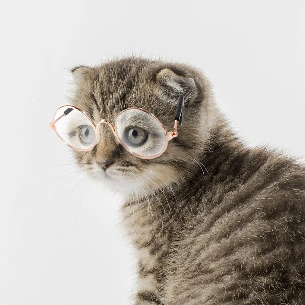 Occhiali Sole per Cani per Piccoli Gatti Classici Occhiali Sole Circolari retrò Foto di Oggetti di Sospensione degli Occhi Accessori per Animali Domestici per Animali Domestici