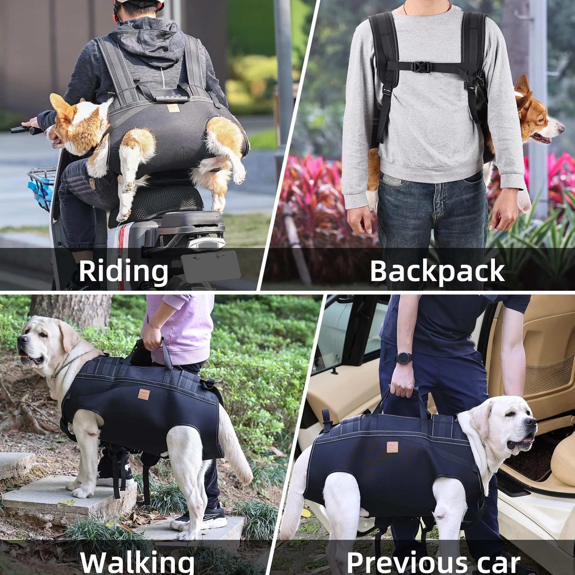 Imbracatura da trasporto per cani di grandi dimensioni, zaino per cani anziani, per lesioni articolari, artrite, scale su e giù, passeggiate paralisi, XXXL per cani da 29,9 a 37,6 kg