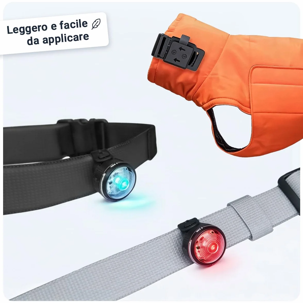 PAJ LIGHT MINI - LED Ultraluminoso per Collari e Pettorine - Cani Piccoli, Medi e Gatti - Regolazione Flessibile - 100% Impermeabile - 7 Colori - Sicurezza e Visibilità Notturna