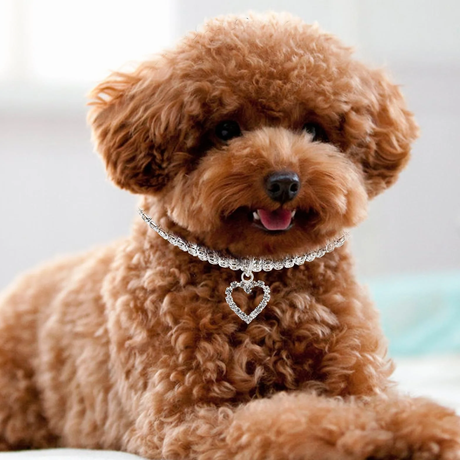 Collare per Cani Cuccioli con Pietre Decorative Elastiche Bianche con Ciondolo a Forma di Cuore
