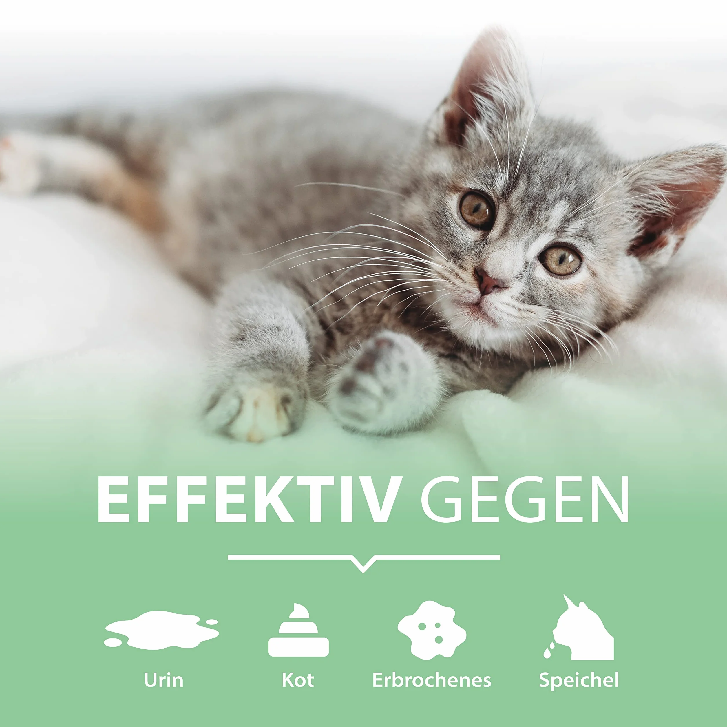 Spray enzimi urina gatto 100 ml – Pipi-Gone di ARKA – rimuove odori e macchie di pipì, feci e vomito – sicuro, biologico e senza profumi – ideale per viaggi, test, lettiera, divano, tappeti, tessuti