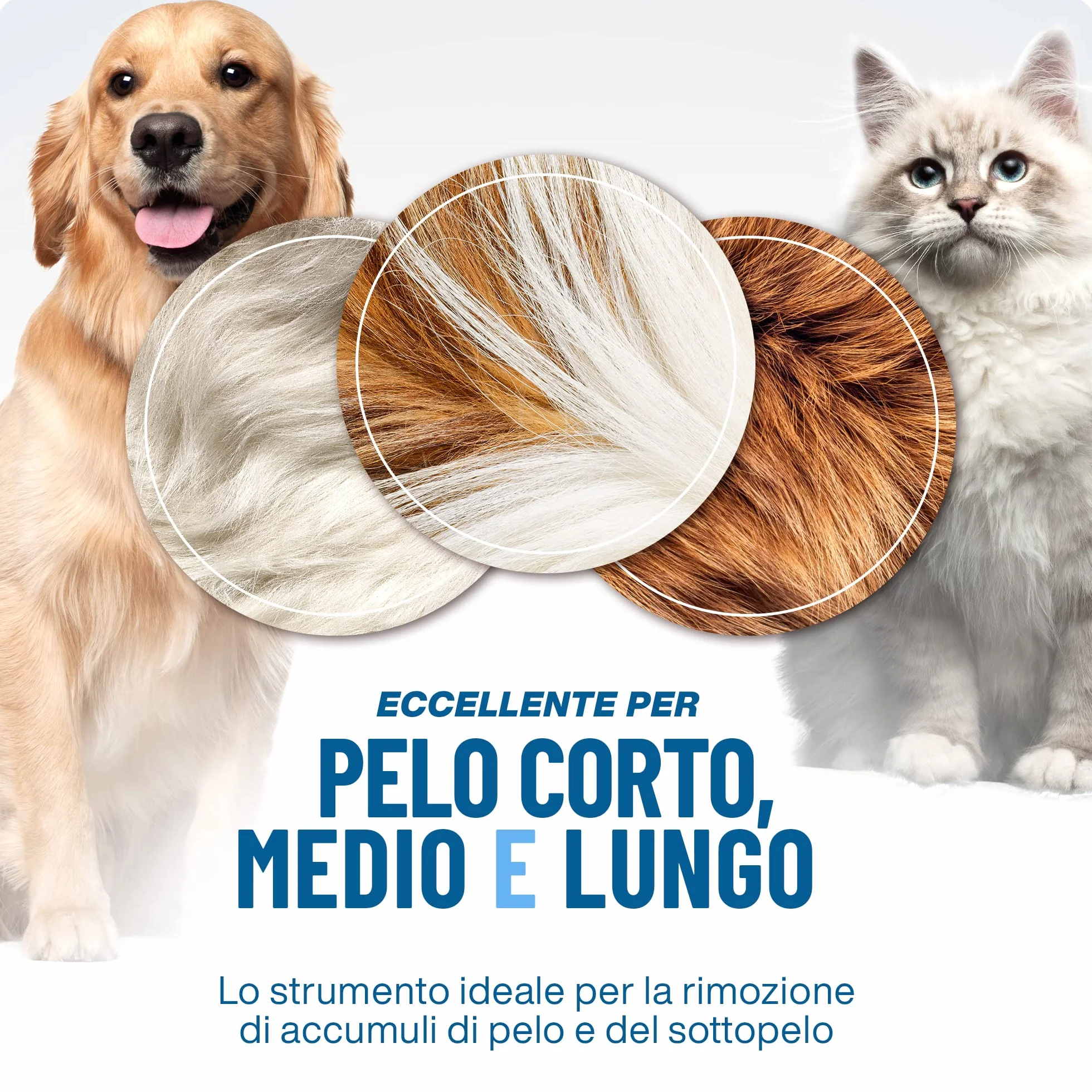 PETPROVED Spazzola per Cani Pelo Lungo Medio 2in1 Sottopelo Doppia Faccia Spazzole per Gatti