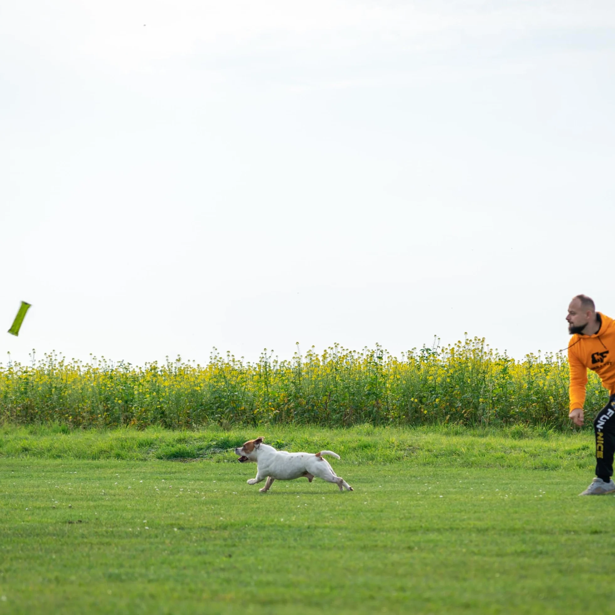 Bull Fit 2-in-1 Dummy e Manicotto per Cani, Giocattolo Galleggiante - Duraturo, interattivo, Fatta a Mano in manichetta antincendio - Giocattoli Cane per l'addestramento o per Il Gioco