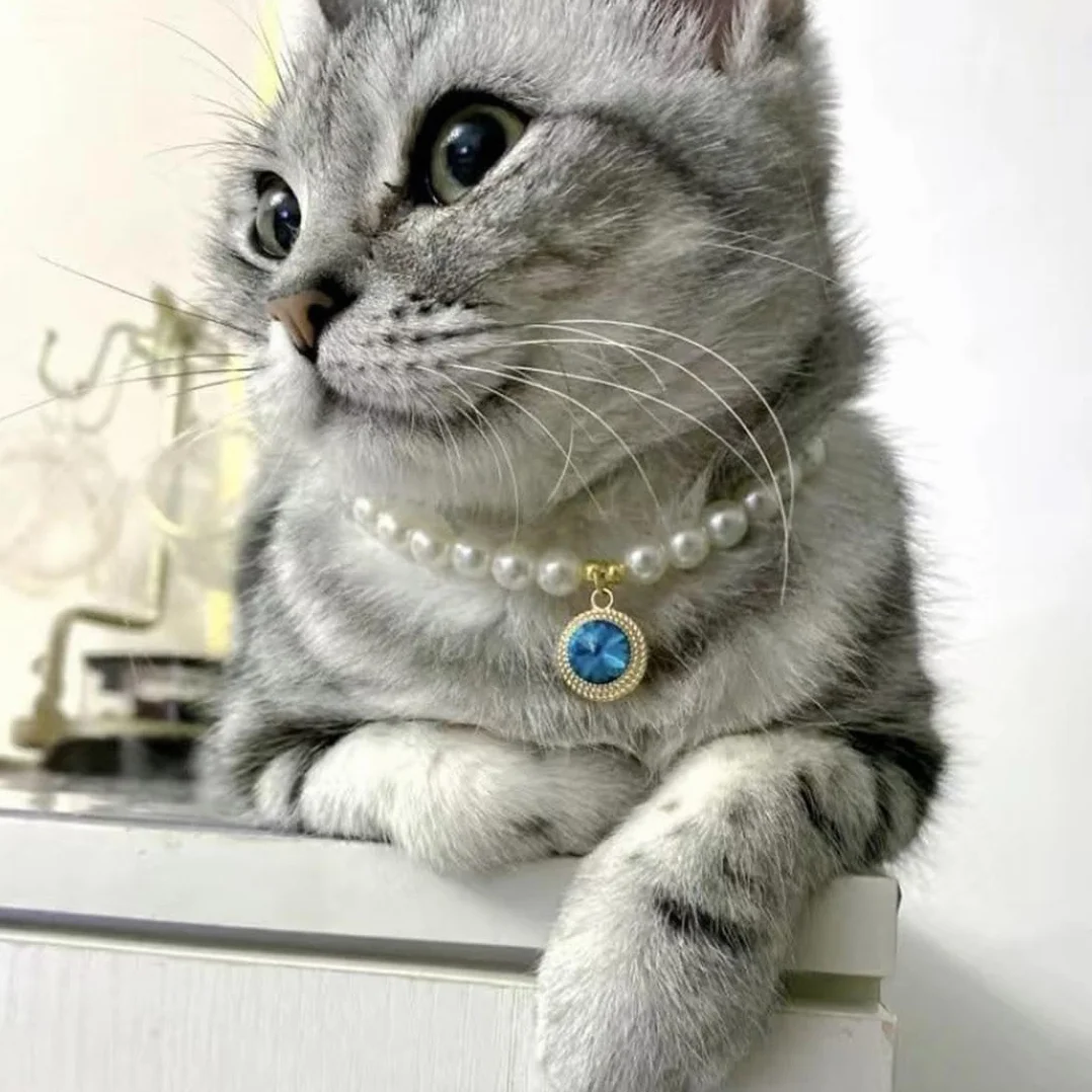 Collana per Cani Piccola Taglia Gatti Regolabile Perle Fantasia Gioielli Bling Strass Collare Papillon Chihuahua