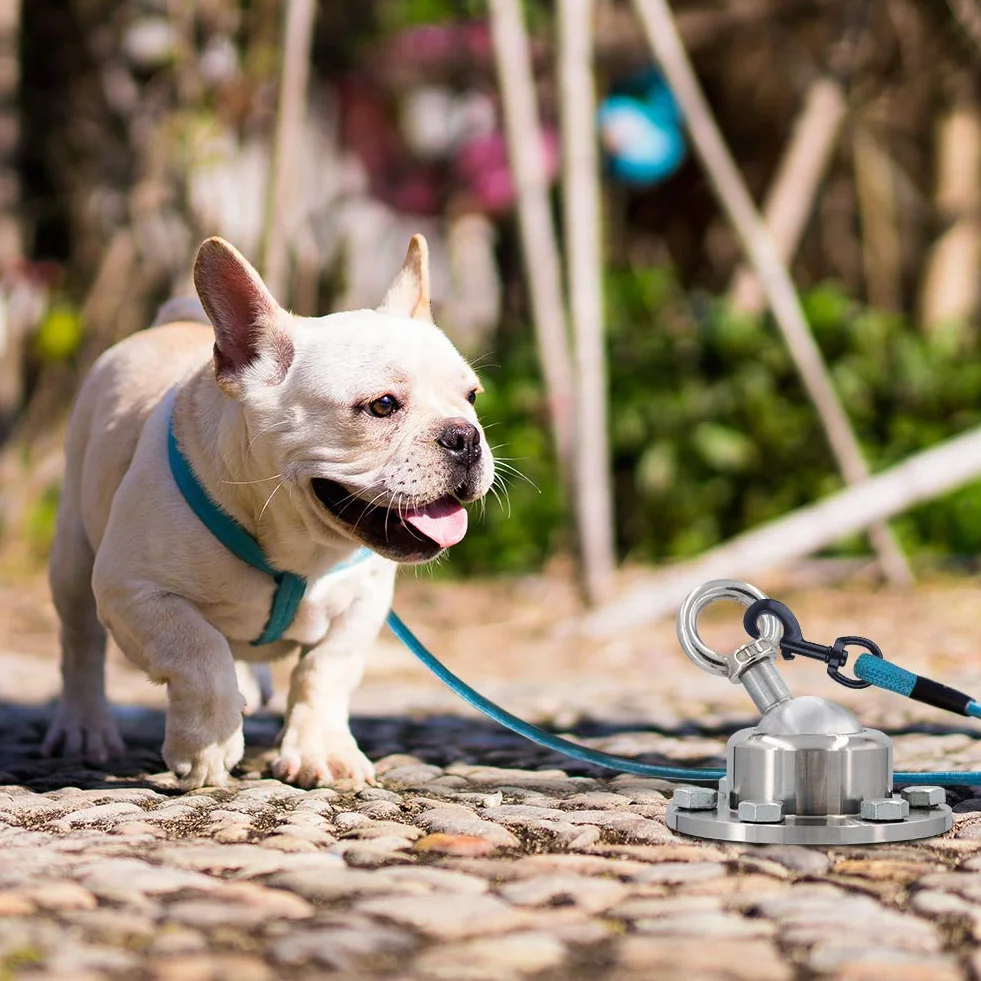 Fevern1 - Ancoraggio per cani girevole a 360°, con picchetto di ancoraggio per cani, resistente alla ruggine, può contenere 453 kg di forza di trazione per cortile, campeggio all'aperto (argento)