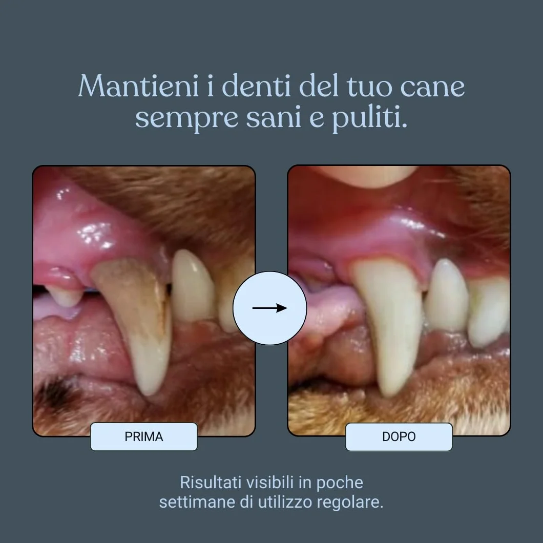 Bau Controllo Placca e Tartaro Cane in Polvere con Alga Ascophyllum Nodosum, Propoli e Menta, Mangime Complementare per Igiene Orale Senza Spazzolino, Alito Fresco e Gengive Sane del Cane