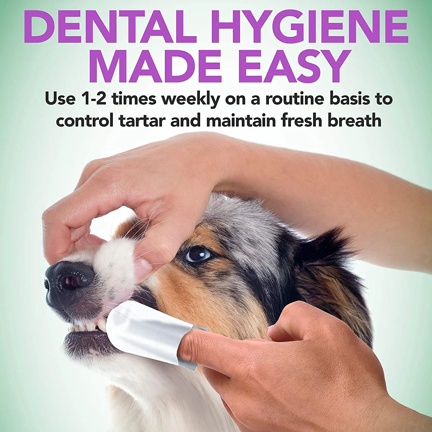 Vet's Best Salviette per la cura dei denti; riducono la placca e rinfrescano l'alito, salviette per la pulizia dentale di cani e gatti, 50 salviette monouso
