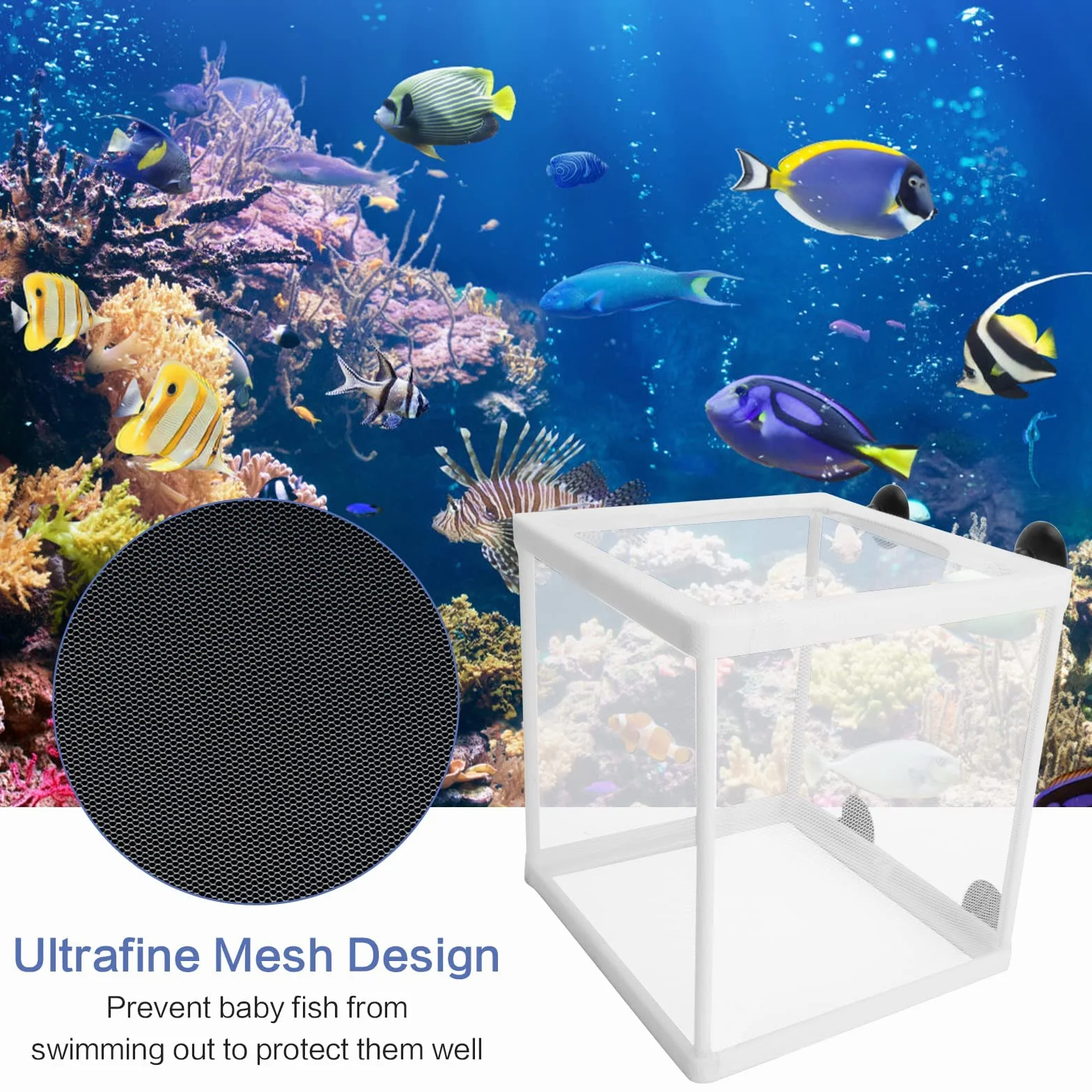 2 scatole per l'allevamento di pesci per acquario, scatola di isolamento per acquario, frittura, vivaio, con 8 ventose per proteggere i pesci del bambino per acquario, bianco, 16 x 14 x 16 cm