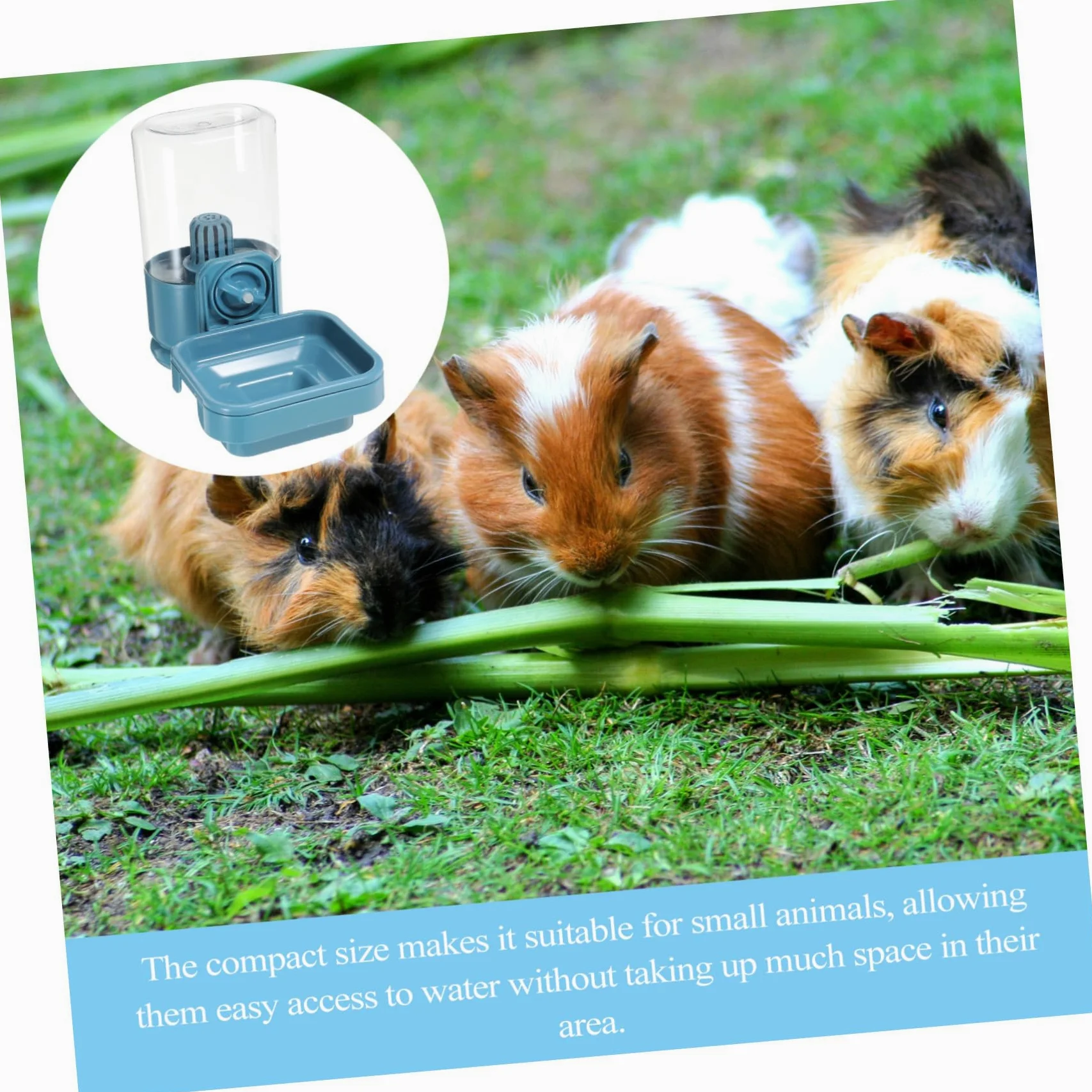 SUPVOX Distributore Acqua Per Conigli Mangiatoia Per Animali Domestici Dispenser Acqua Compatto Riutilizzabile Facile Da Appendere Alla Gabbia