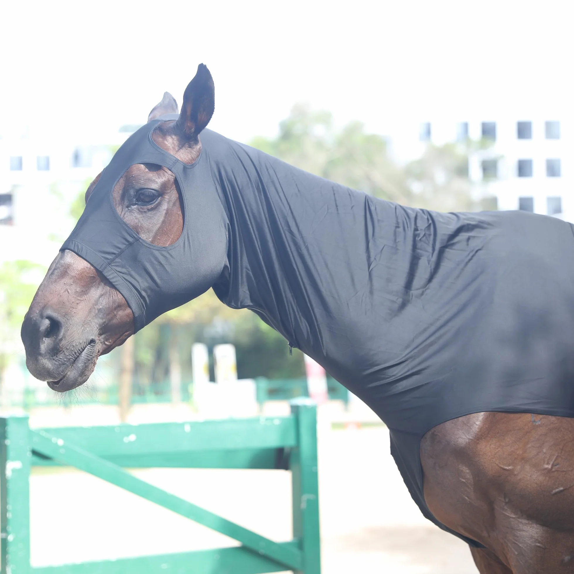 Cappottino da cavallo in tessuto Lycra elasticizzato con cerniera rinforzata e chiusura in velcro regolabile, cappuccio testa di cavallo con copertura integrale per il collo, nero, XXL