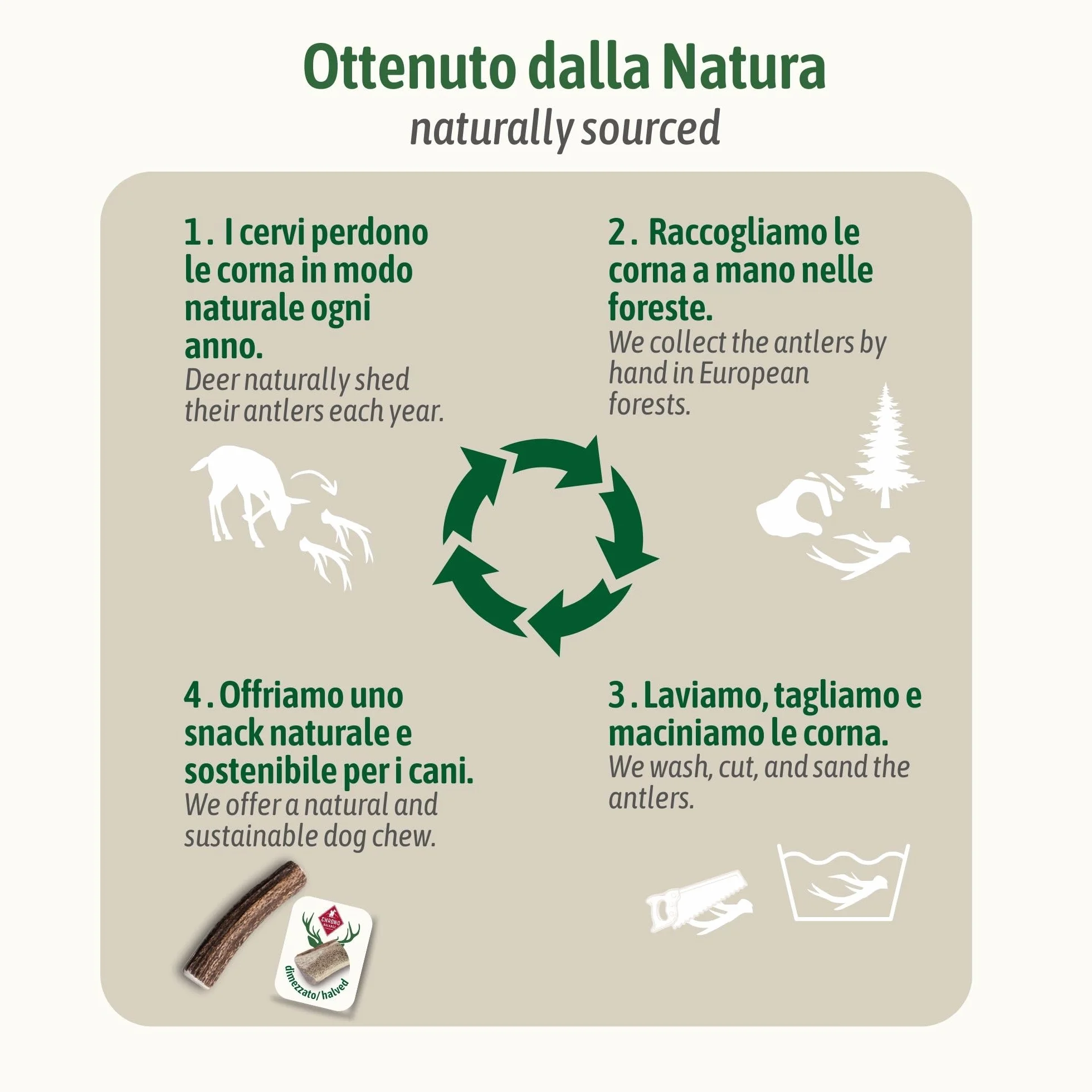 ChronoBalance-XXL Corno di Cervo per Cani, Confezione da 2, Dimezzato, 100% Naturale, Osso di Cervo, Cura Dentale, Giocattolo per Cani, Senza Sostanze Chimiche, Lunga Durata