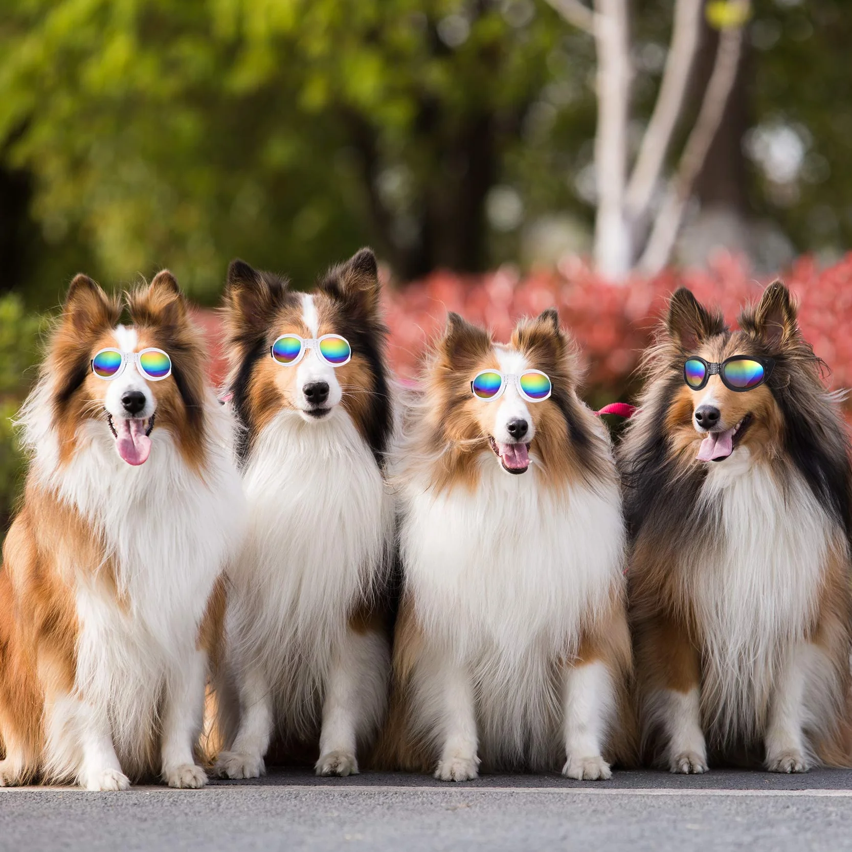 JIABEIUS - Occhiali da sole per cani, antivento, anti-appannamento, protezione UV, per gatti e cani di piccola taglia (rosa)