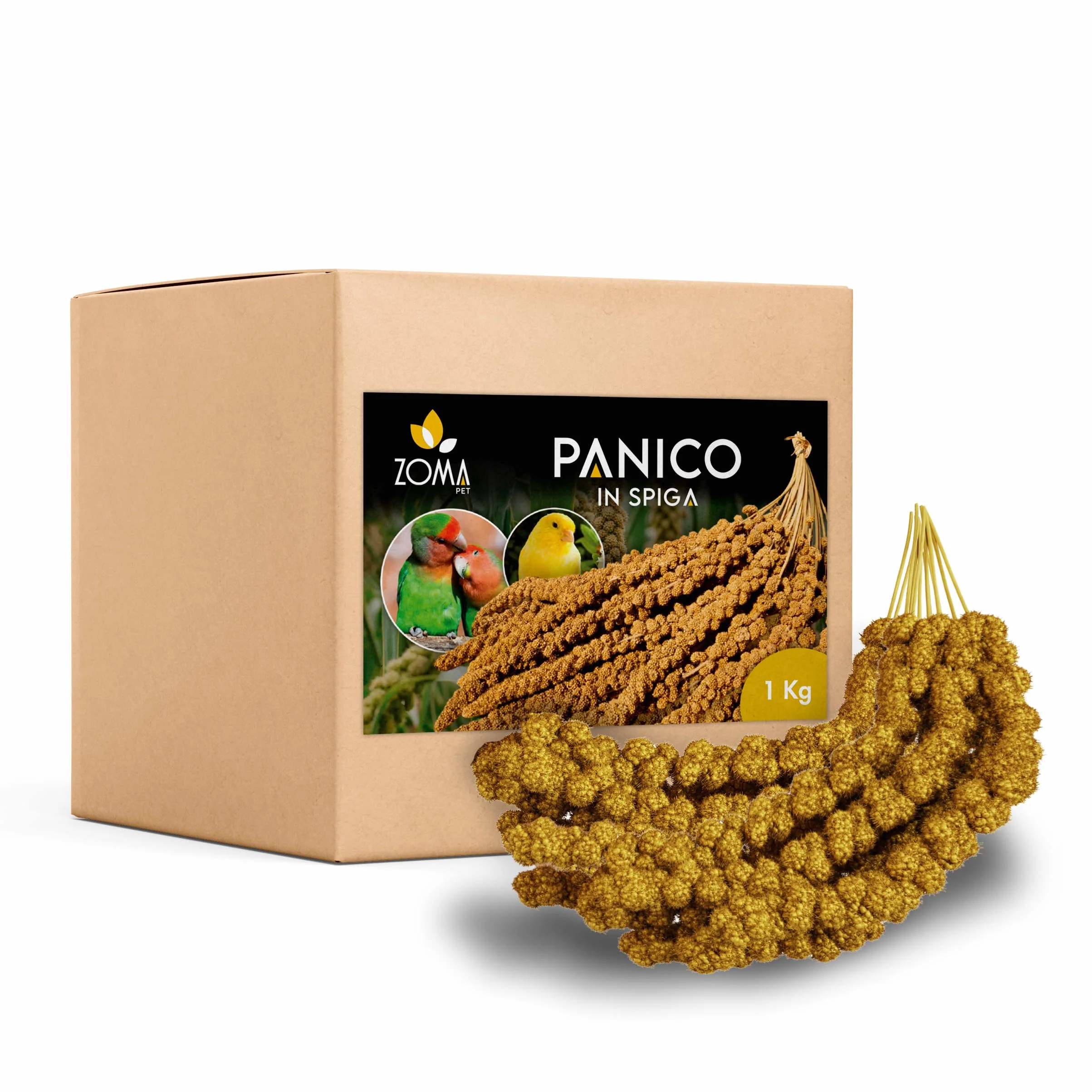 ZOMAPET spighe di panico per pappagalli 1Kg, mangime naturale per cocorite e uccelli esotici Made in Italy