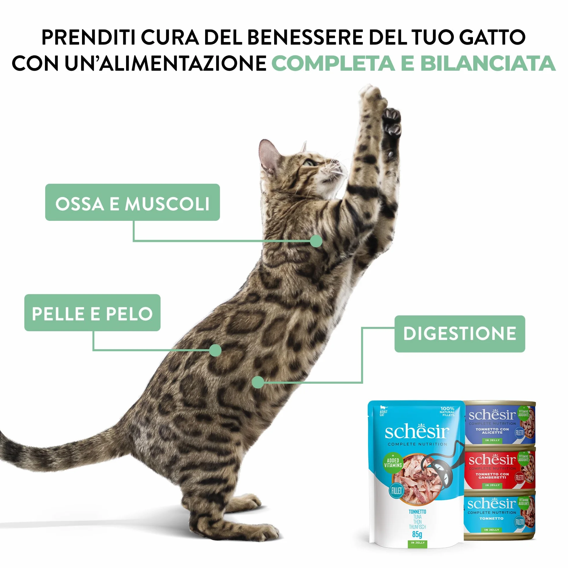 Schesir, Tonnetto in Gelatina, Cibo Umido Completo per Gatti, Con Vitamine Aggiunte, 100% Naturale, 6 lattine da 85g