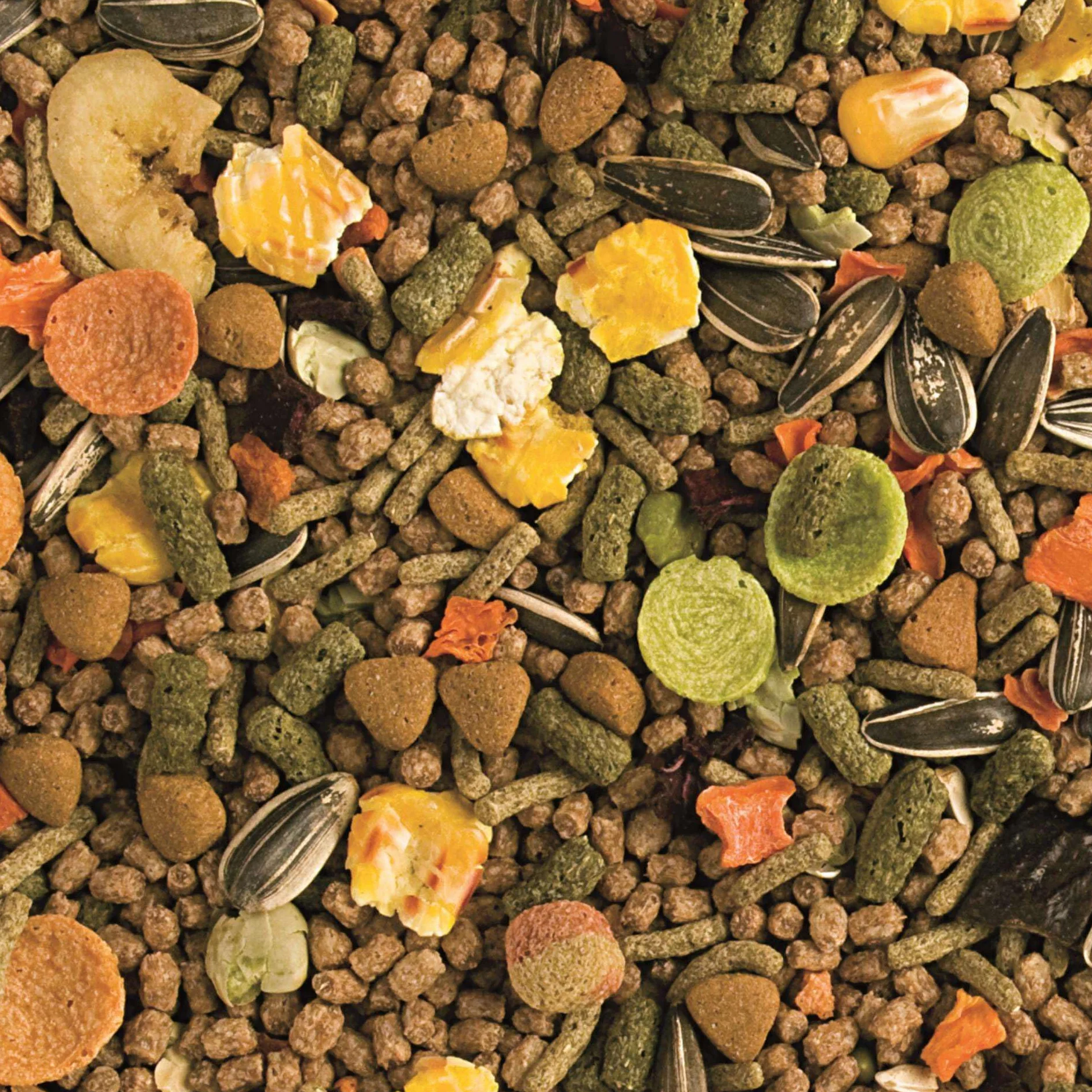 RAT 500g - Mangime completo per ratti con banane dolci, uva passa e carote