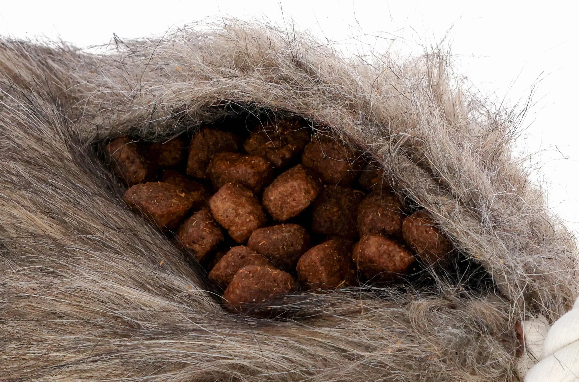 KERBL PET Snack Dummy con cordoncino, 32x11 cm