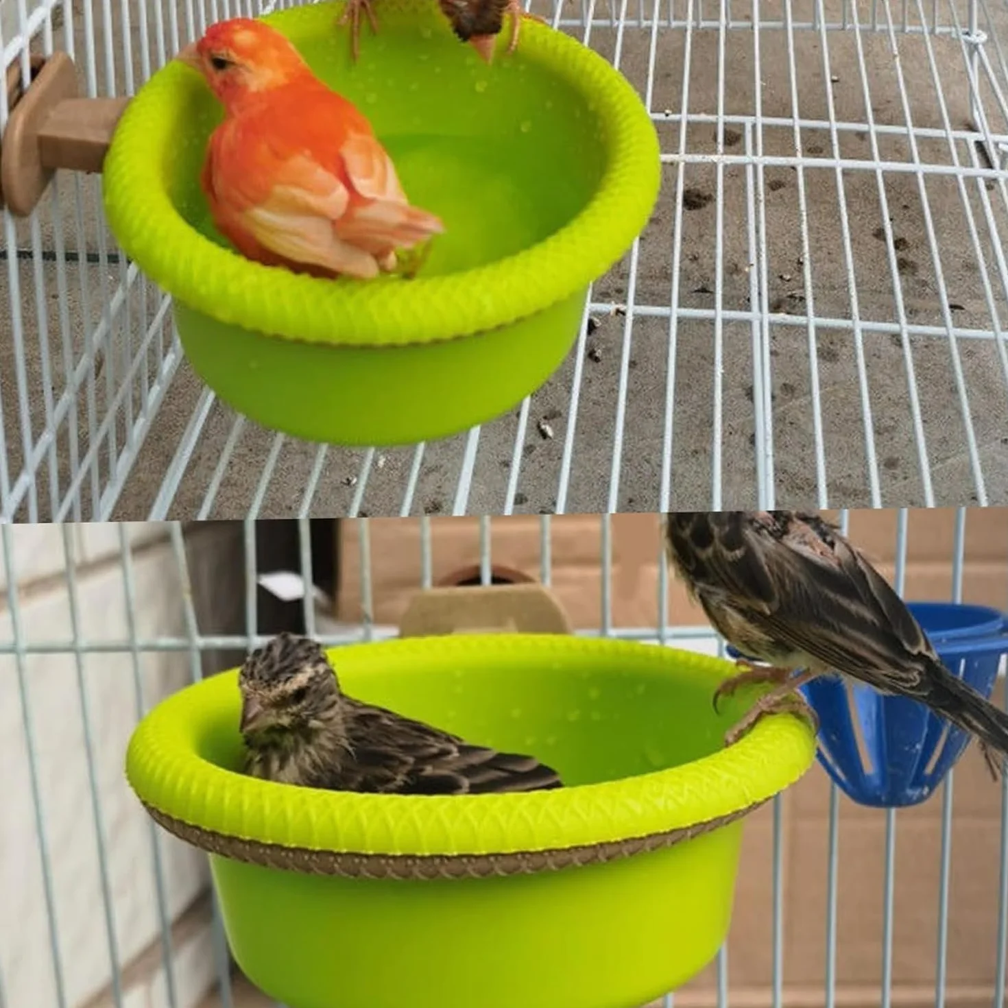 MEISO Vasca da Bagno per Uccelli, Appeso Uccello Doccia, Accessori Gabbia, Plastica per Pappagalli Canarini