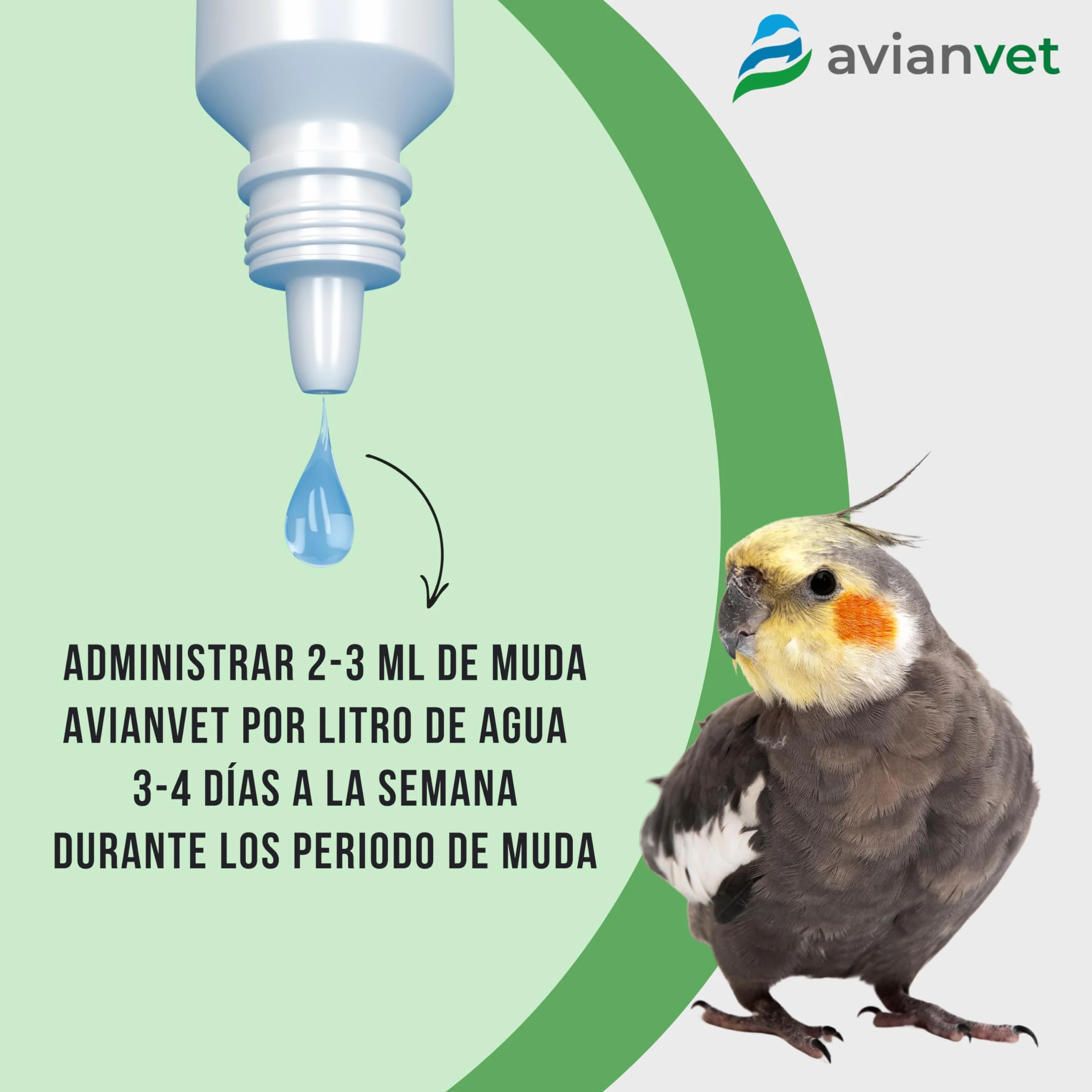 Integratore Alimentare per Uccelli Durante la Muta 15 ml
