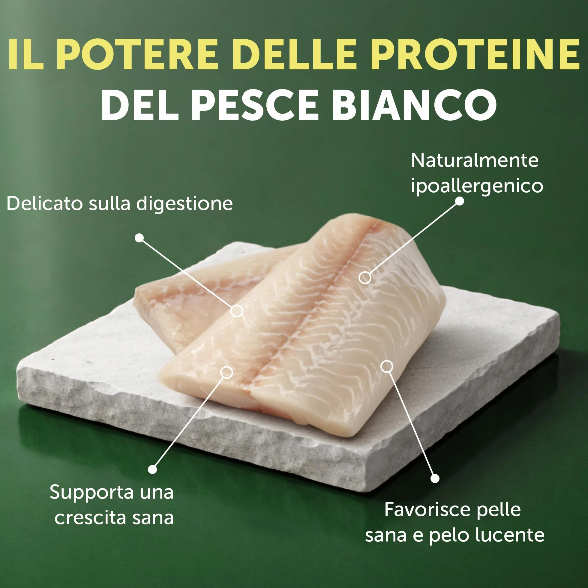Nature’s Protection Superior Care Crocchette Cani ad Alto Contenuto Proteico - Cibo per Cani Junior Bianchi Ipoallergenico con Pesce Bianco - Omega 3 e 6 - Contro le Macchie da Lacrimazione (1,5 kg)