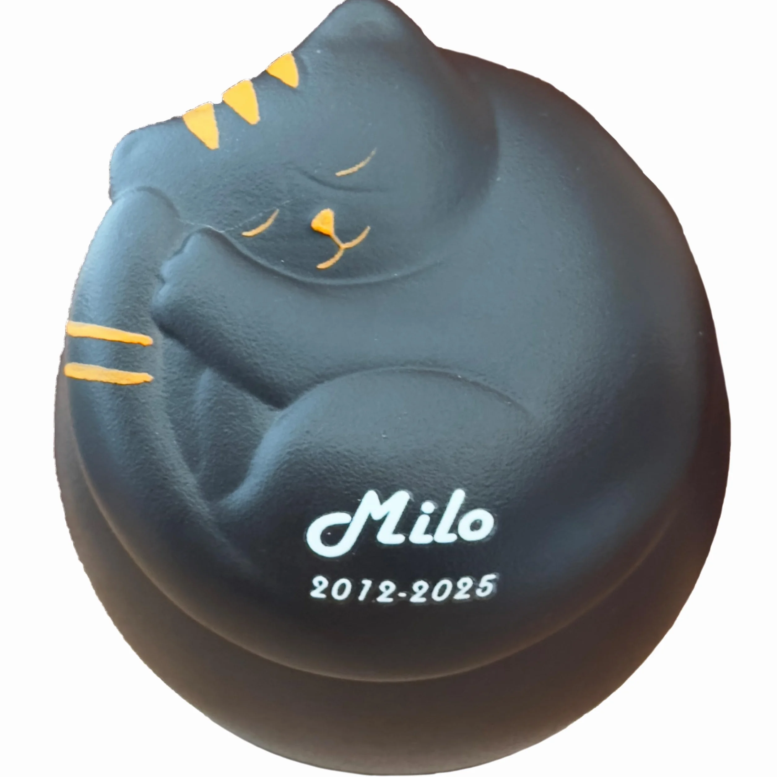 Urna per gatti in ceramica fatta a mano per ceneri animali domestici personalizzabile (nero)