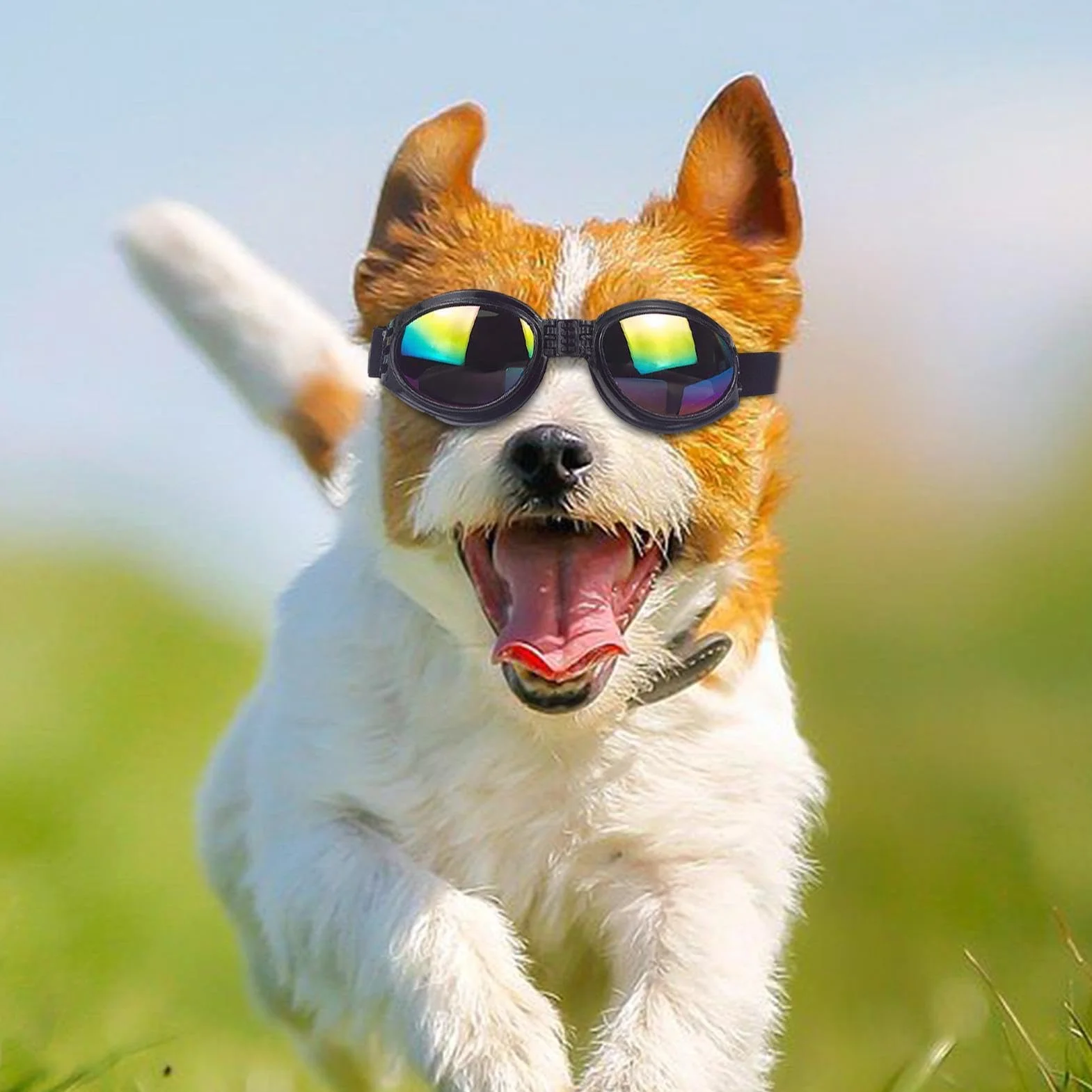 Occhiali da sole per cani - Occhiali per animali domestici da 4,72 pollici Protezione UV Cinturino regolabile | Dog Eye Wear - Ochiali per animali domestici elastici e comodi per l'uso in viaggio con