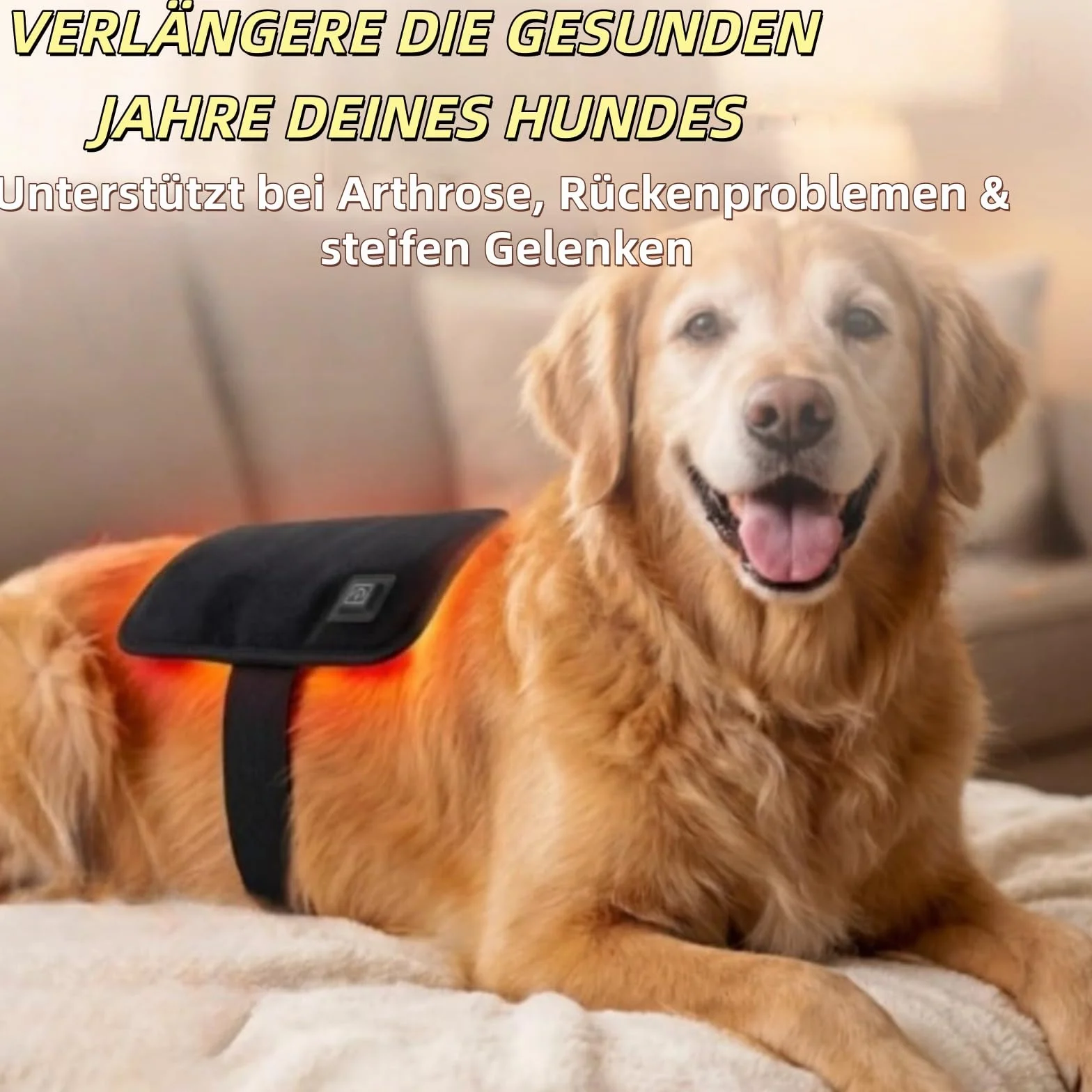 FellStern - Tappetino terapia a luce rossa per cani e gatti, 660 nm e 840 nm per terapia con luce rossa a infrarossi, supporto per dolori e articolazioni, terapia termica sicura, facile da
