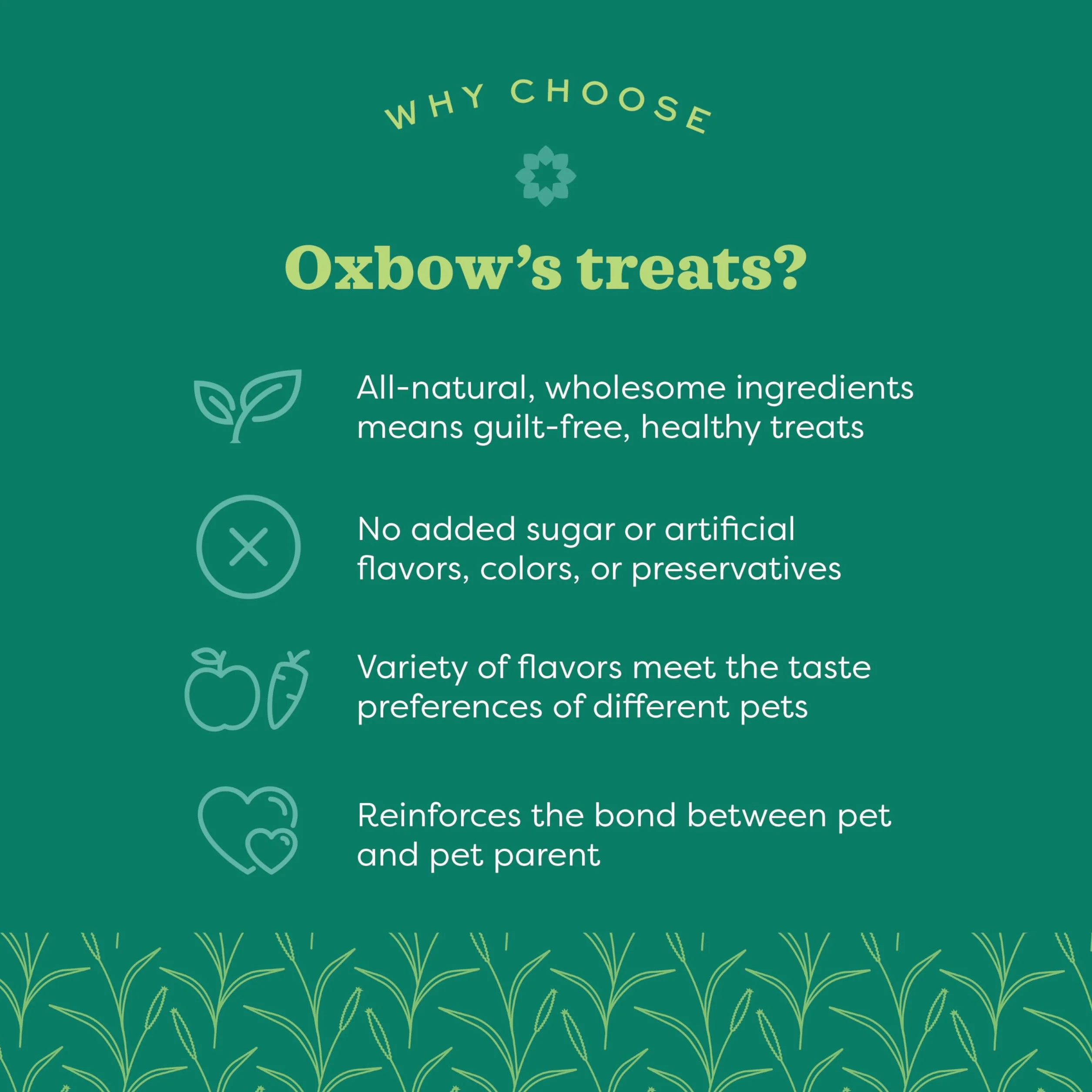 Oxbow Animal Health Simple Rewards Veggie Treat per animali domestici, 85 g