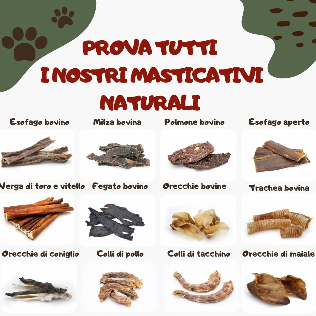 Sam Snack Nervo di vitello per cani 100% naturale 15 CM masticativi premium dieta BARF CANI TAGLIA EXTRA PICCOLA E PICCOLA (12 PZ)