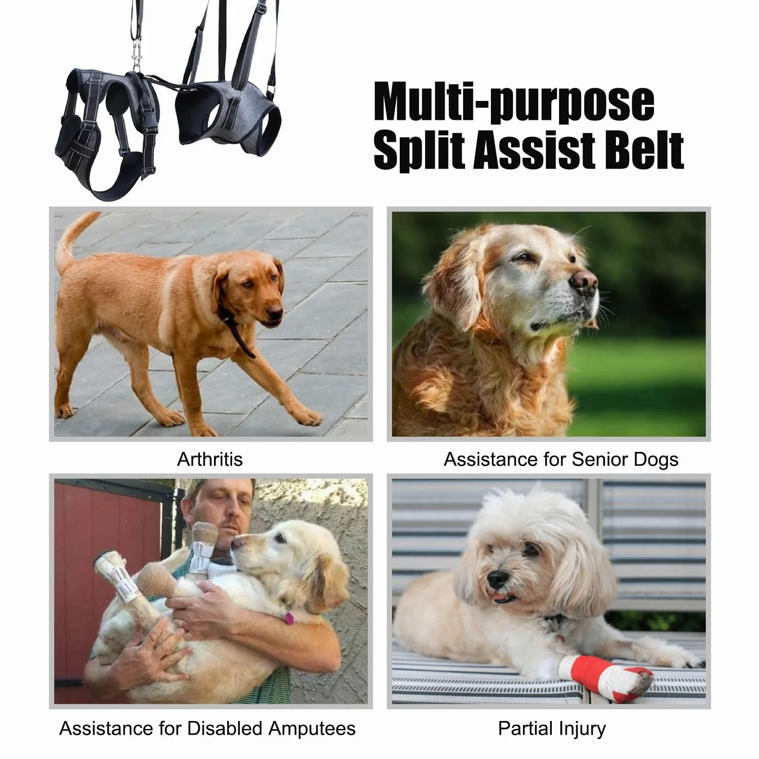 Imbracatura di Sollevamento per Cani Porta-Animali Tracolla Gilet per | Gilet assistenza mobilità cani con maniglia per cani anziani, disabili, riabilitazione e visite veterinarie