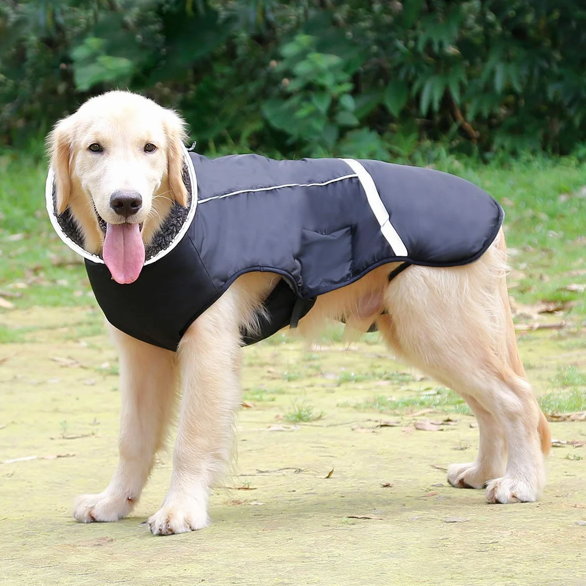 Cappotto caldo per cani riflettente impermeabile antivento giacca collo alto fodera in pile