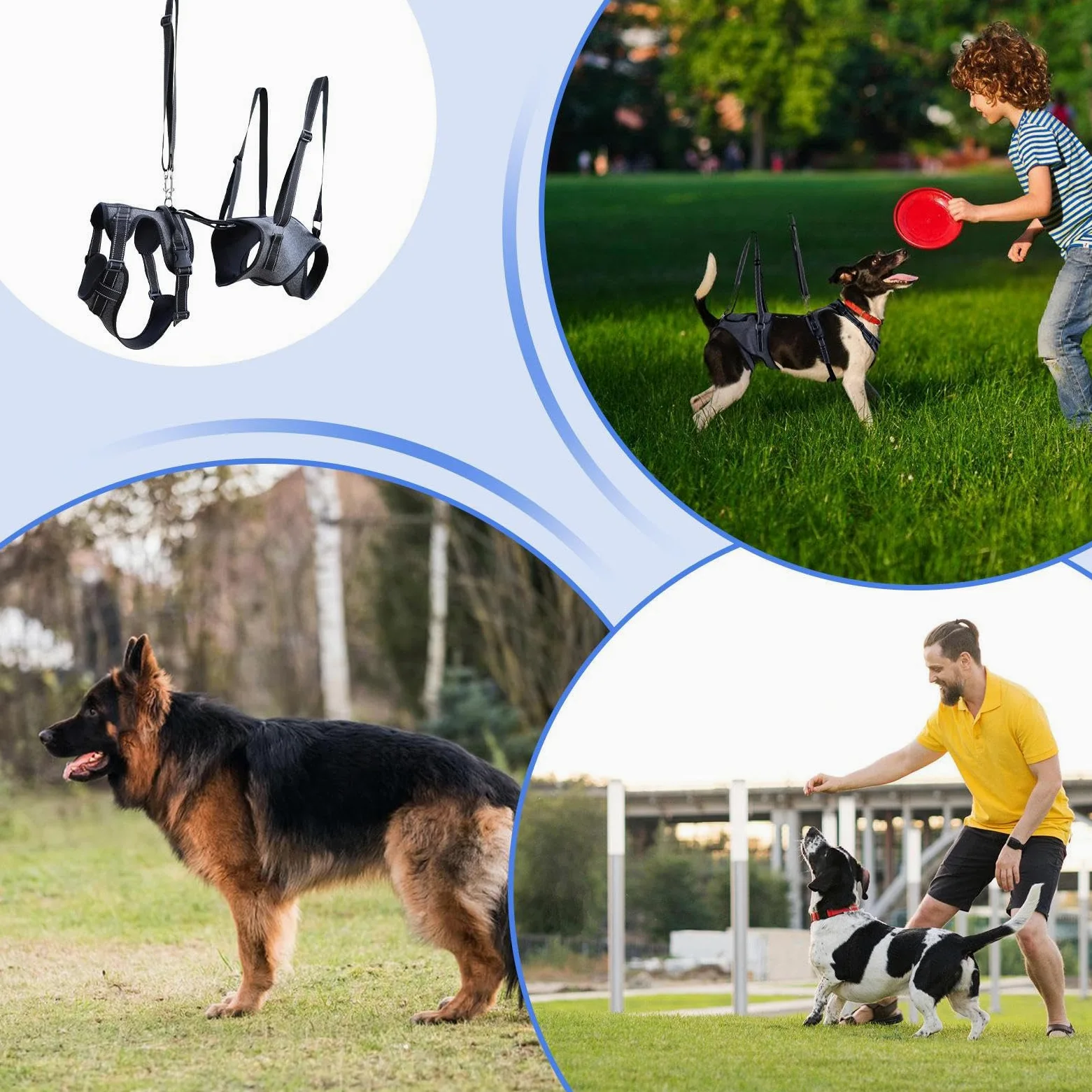 Imbracatura di Sollevamento per Cani Porta-Animali Tracolla Gilet per | Gilet assistenza mobilità cani con maniglia per cani anziani, disabili, riabilitazione e visite veterinarie