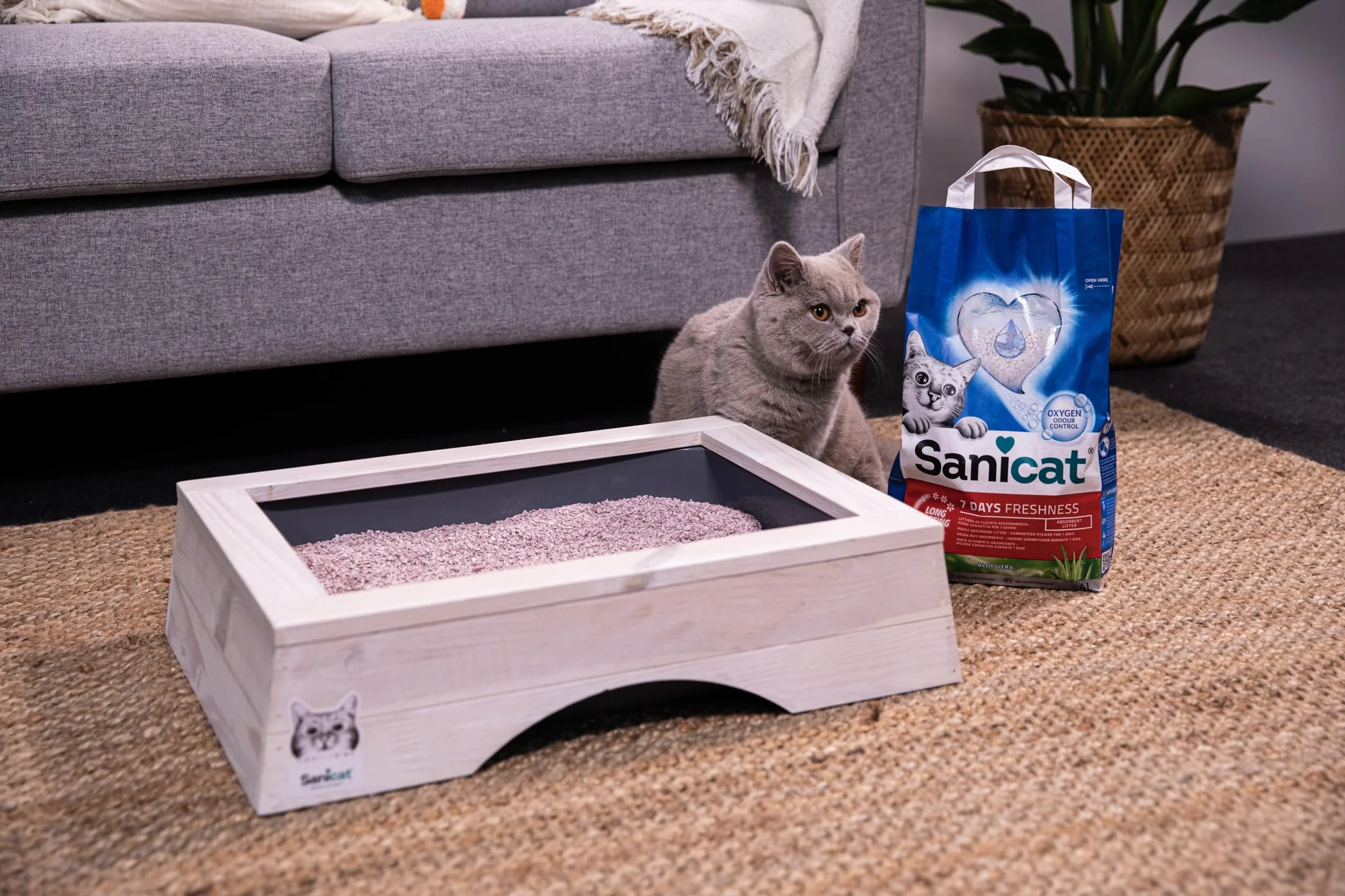 Sanicat Lettiera per gatti Classic con Aloe Vera 4 L Controlla odori 7 giorni Assorbimento rapido