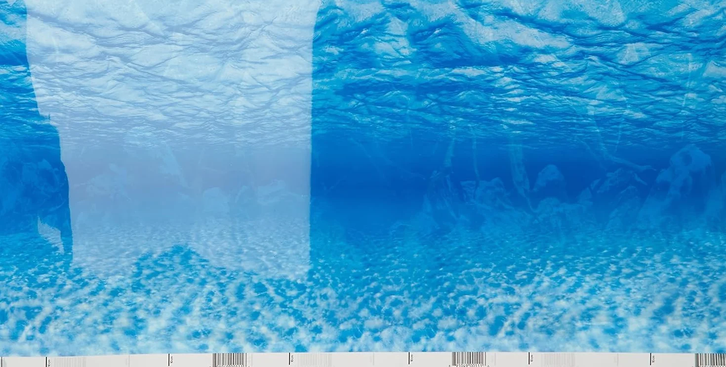 AMTRA MYSTIC - Sfondo in poster per acquario, decorazione dell'acquario, poster decorativo con doppia stampa, formato 45x100cm