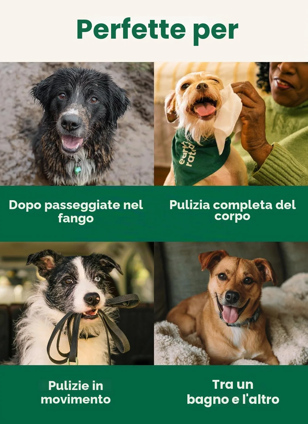 Earth Rated Salviette ipoallergeniche per Cani, puliscono ed eliminano Gli odori da Zampe, Corpo e Sedere, profumati alla Lavanda, 100 Pezzi