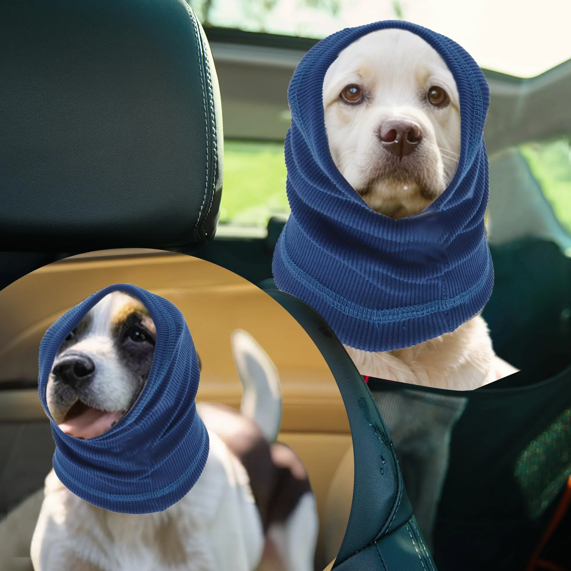 Cuffie Antirumore per Cani Fascia Protettiva Orecchie Blu L