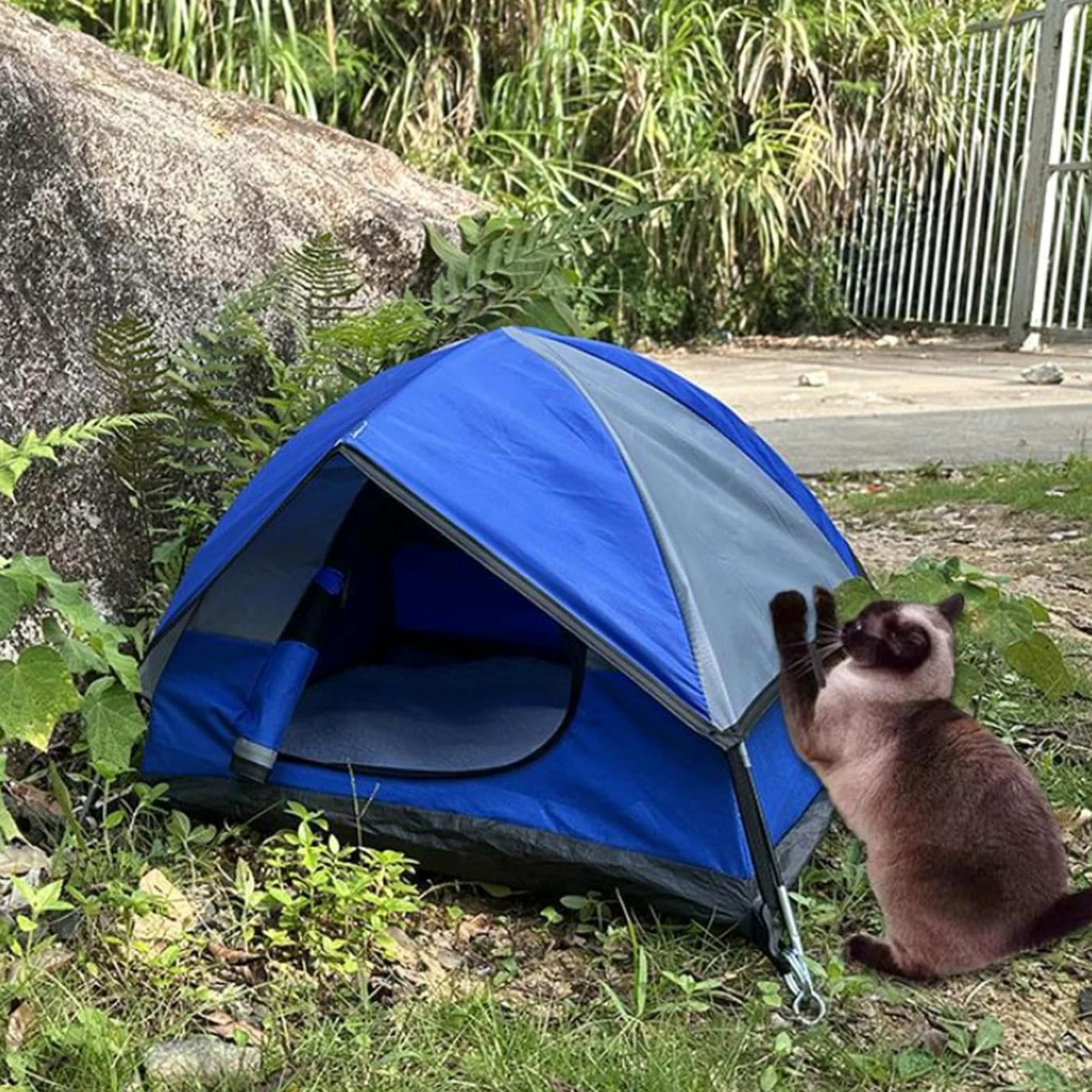 Generico Tenda da per gatti, Tenda da per gatti da per | Tenda per gatti impermeabile Tenda per animali domestici da esterno per cuccioli, cani, animali di piccola taglia