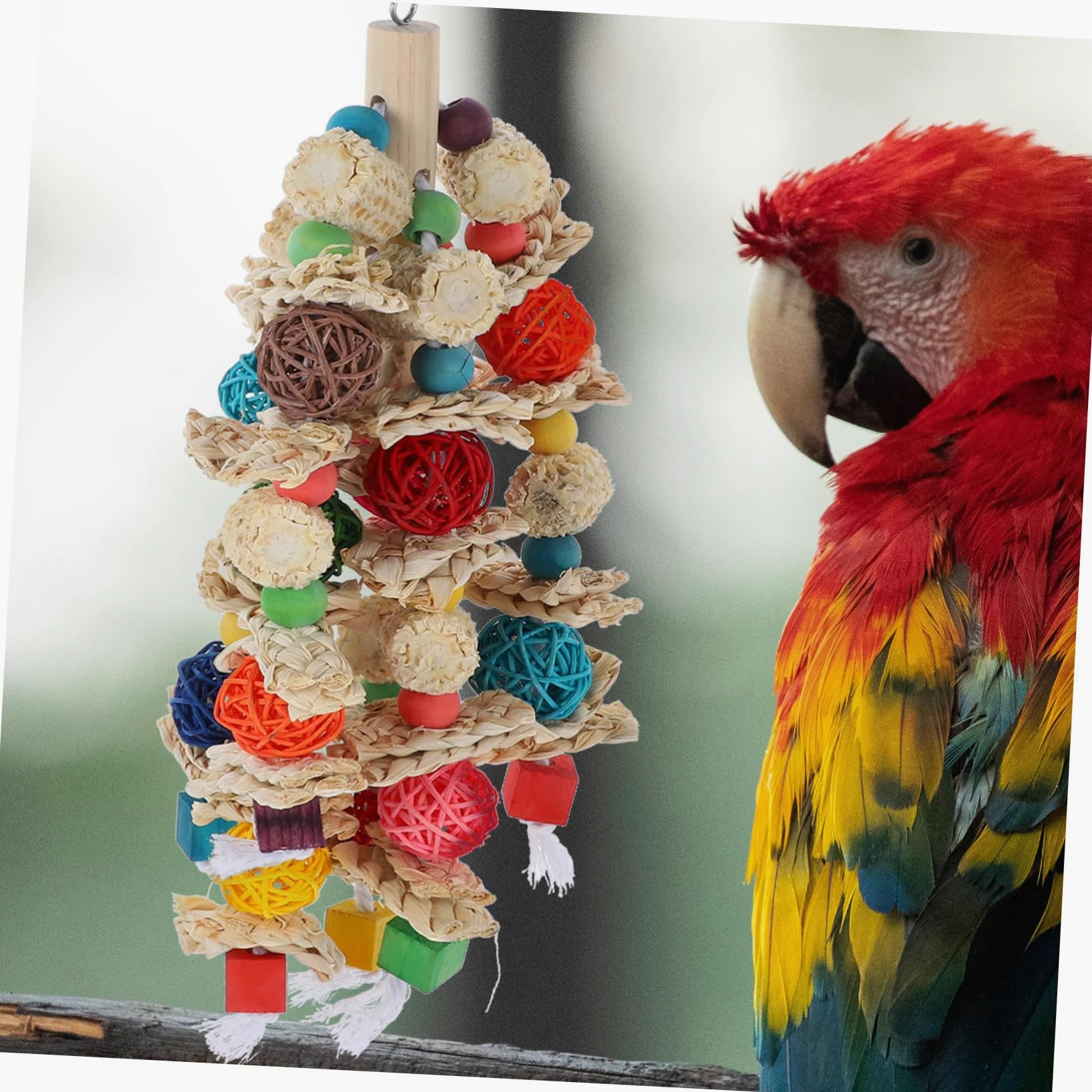 Angoily Giocattolo Per Uccelli Per Pappagalli e Parrocchetti Accessorio Per Esercizio e Riposo Giocattolo Da Masticare Per Uccelli Design Multiuso Per Pet Bird e Macaw