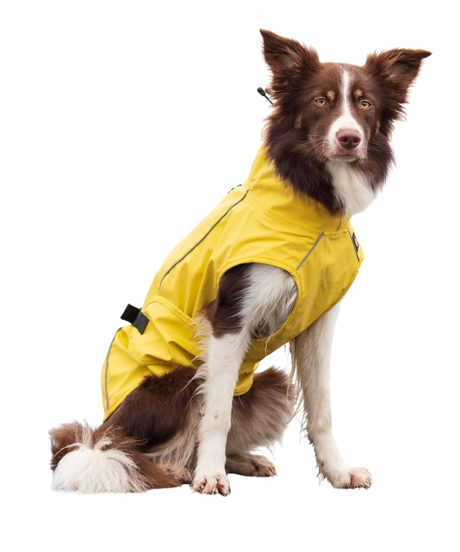 Trixie Vimy - Impermeabile per cane, 55 cm, taglia L, colore: Giallo